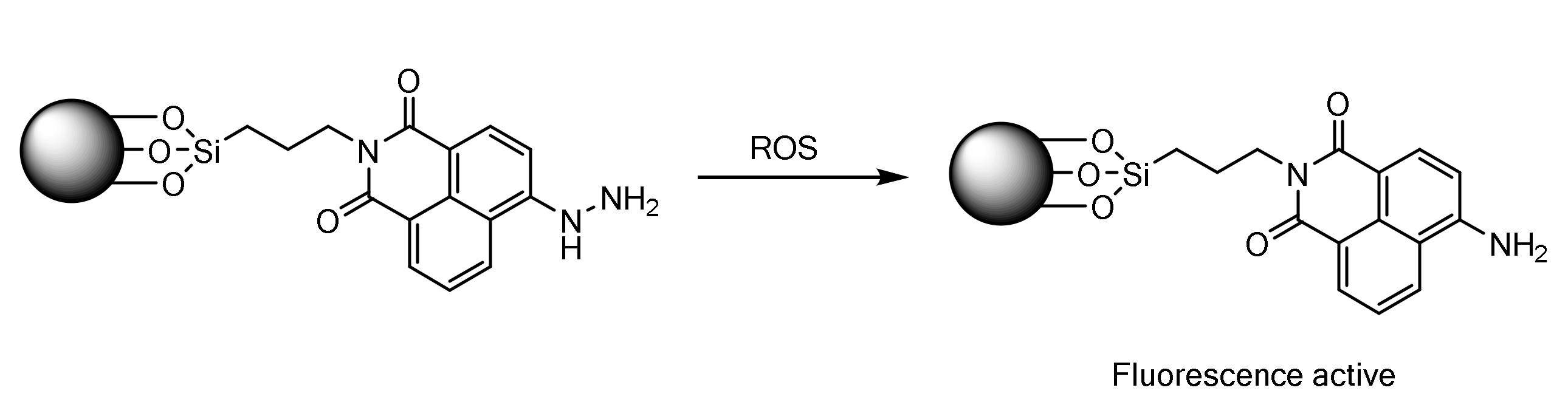 Sensors 22 00261 g011