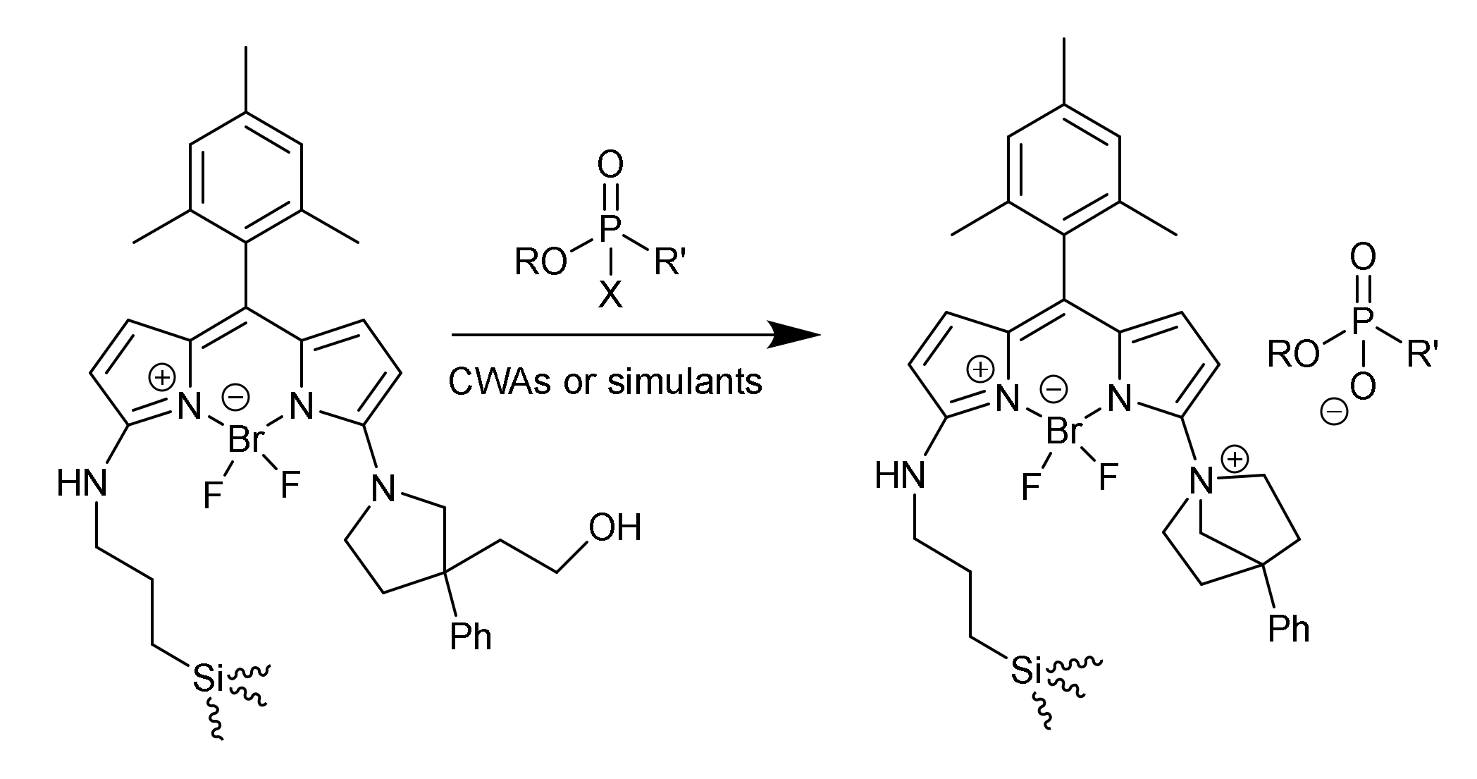 Sensors 22 00261 g020