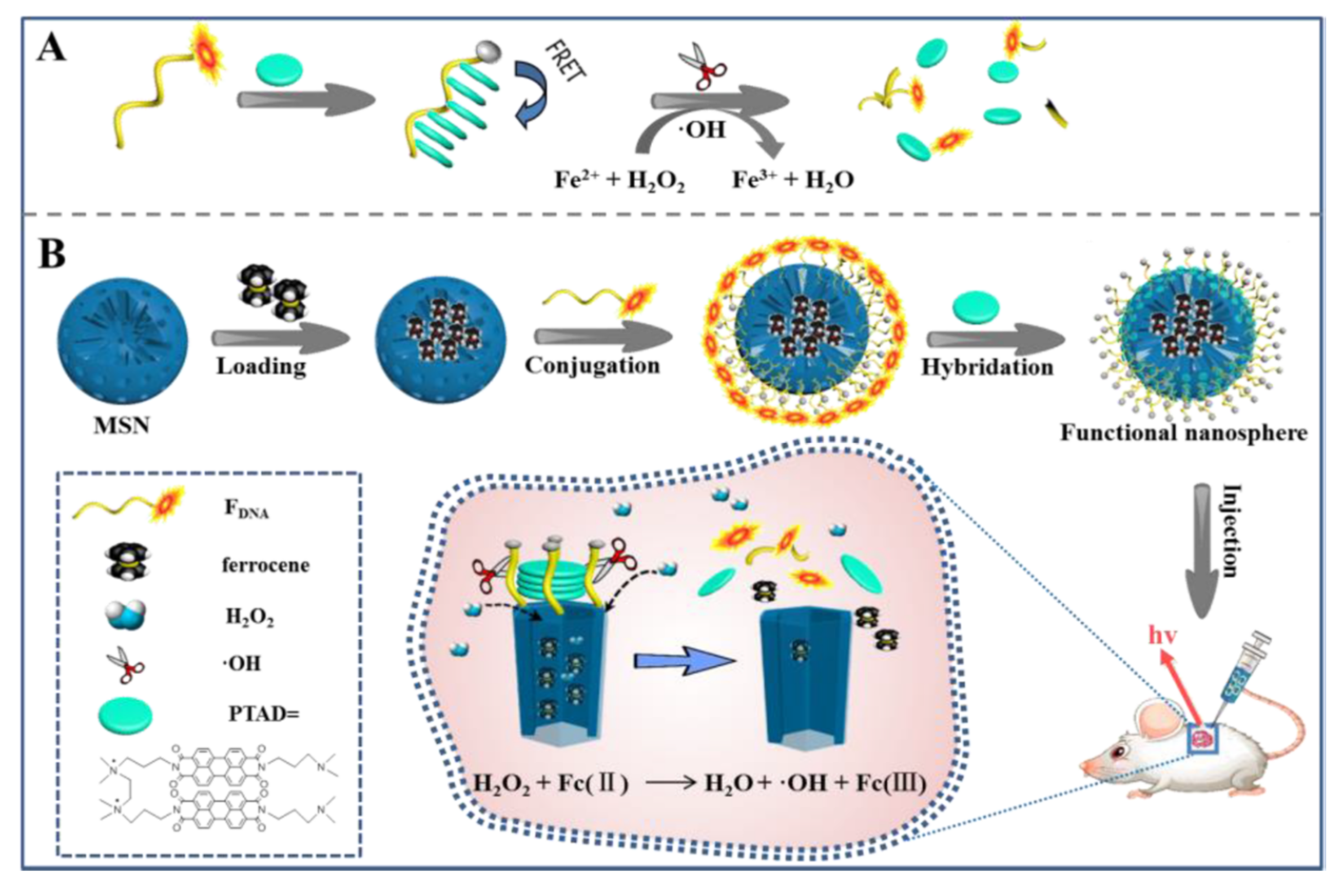 Sensors 22 00261 g025