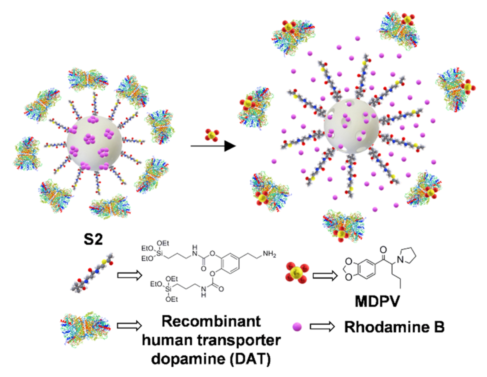 Sensors 22 00261 g029