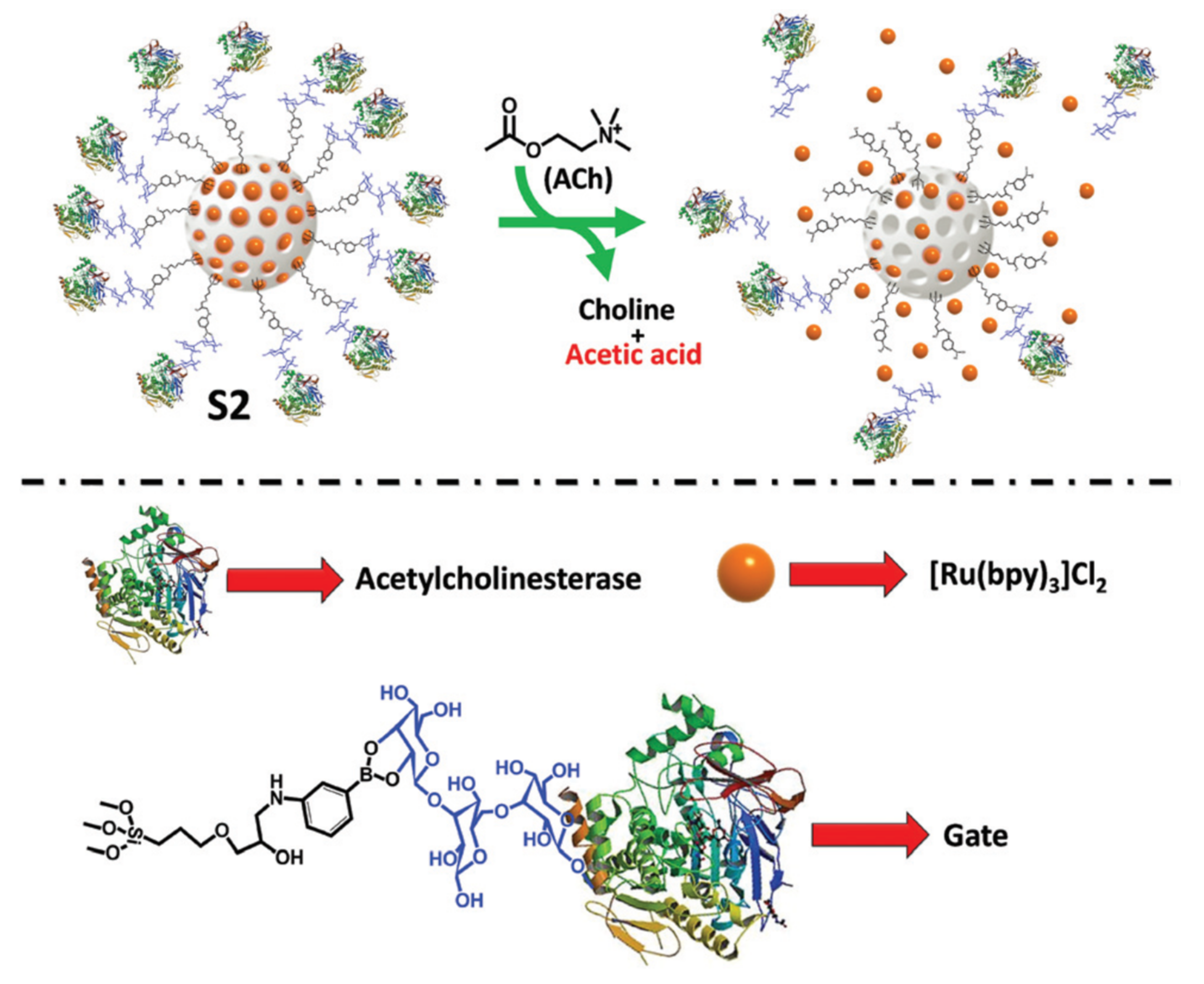 Sensors 22 00261 g030
