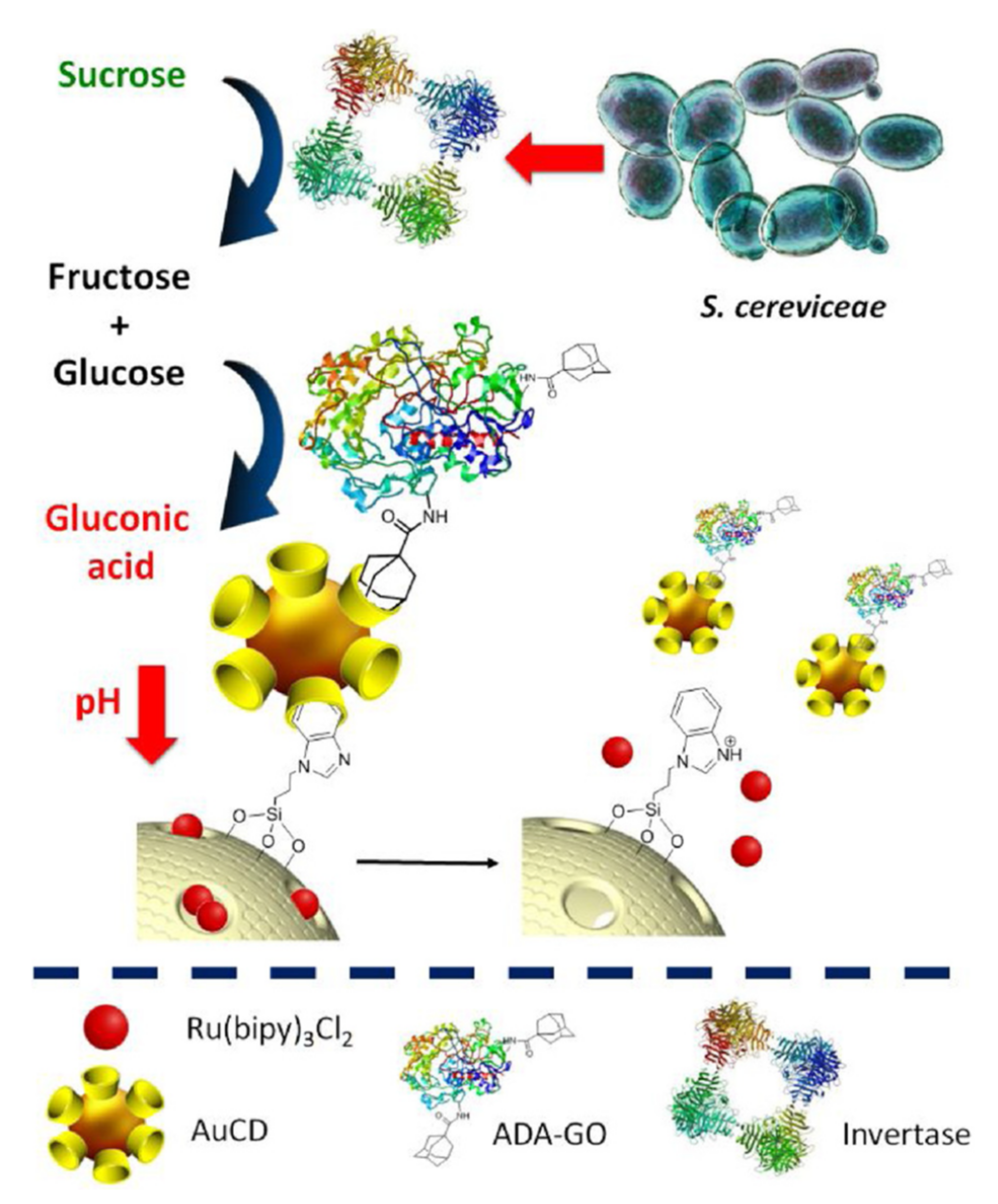 Sensors 22 00261 g035