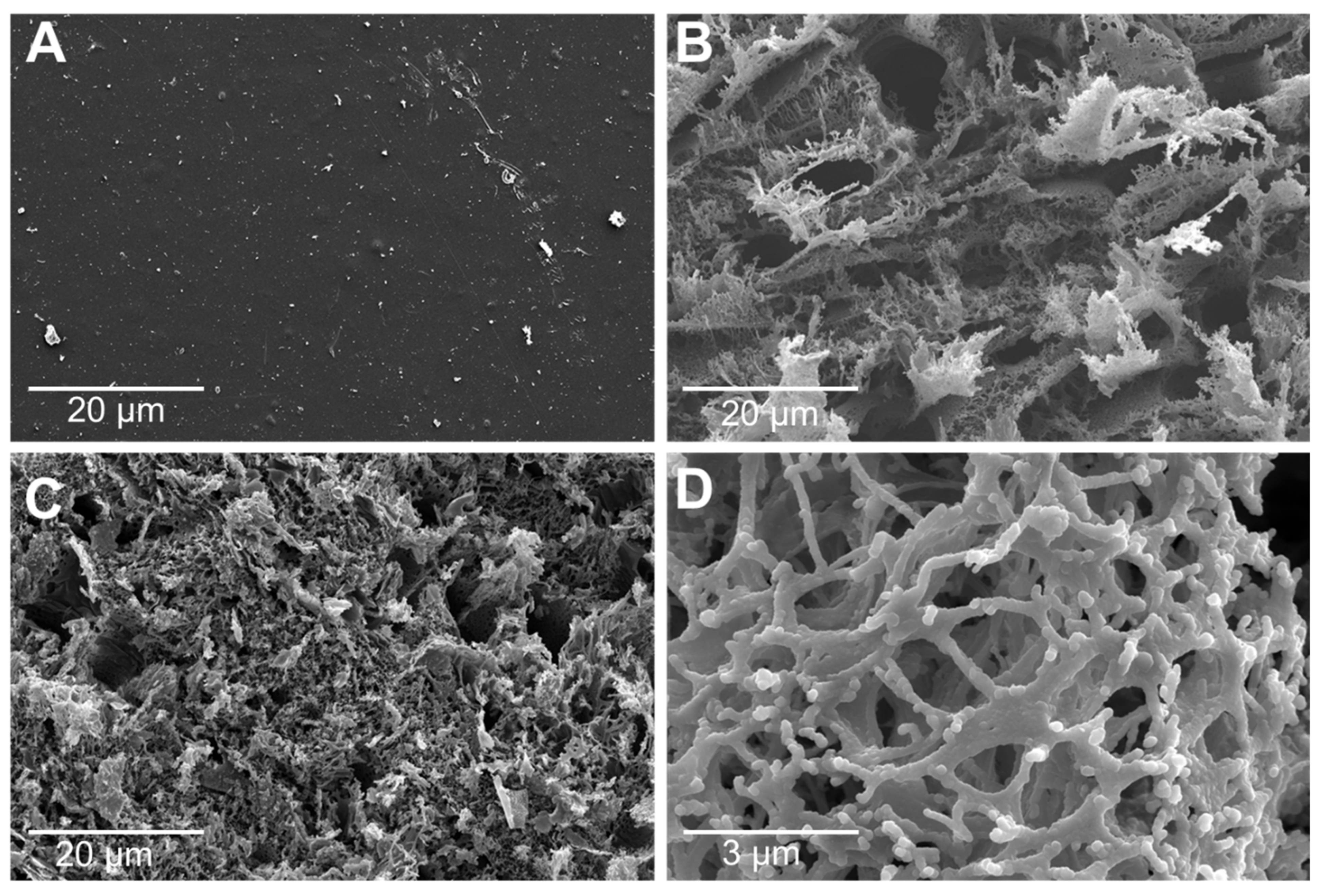 Sensors 22 00269 g003