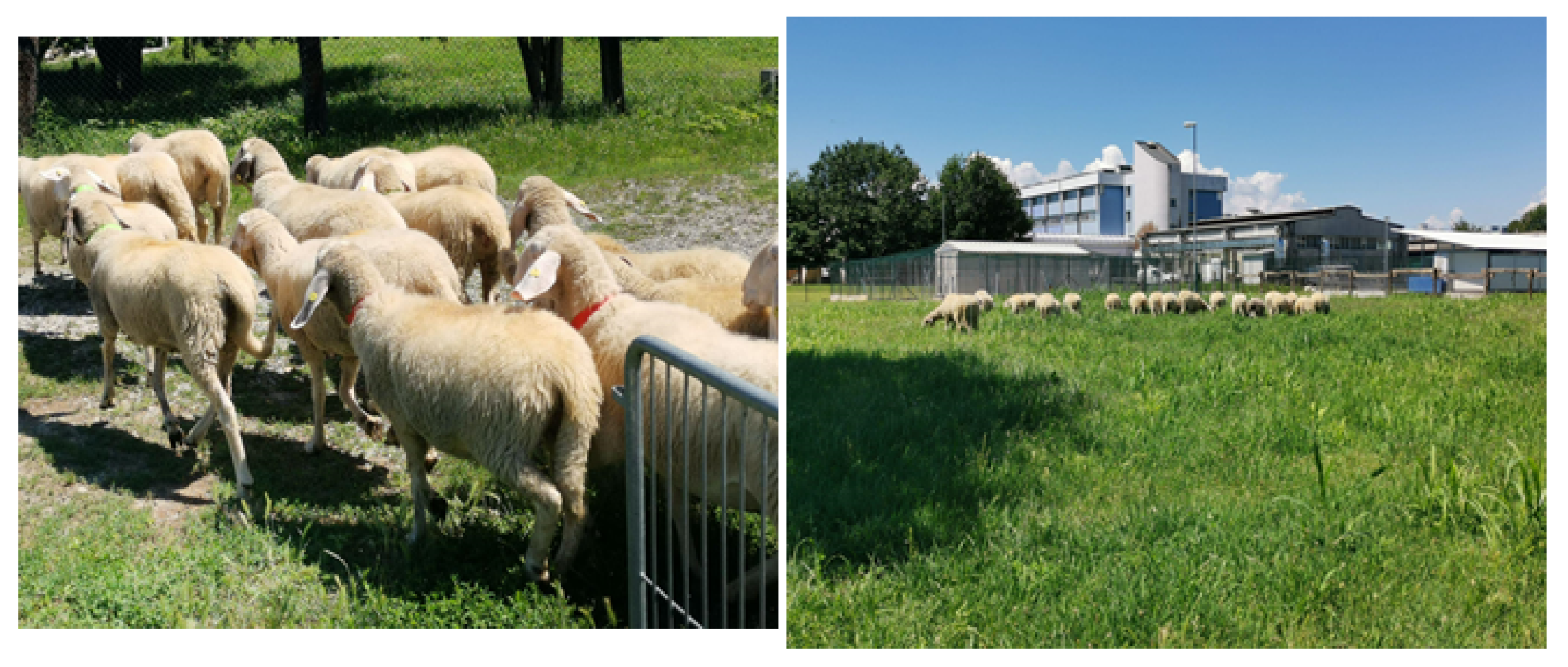 Sensors 22 00273 g007 550