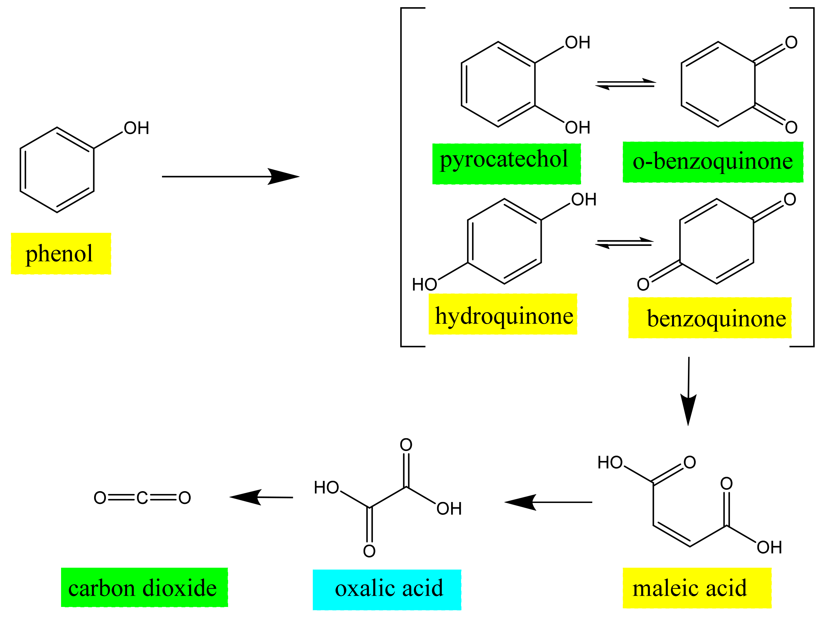 Sensors 22 00282 g006