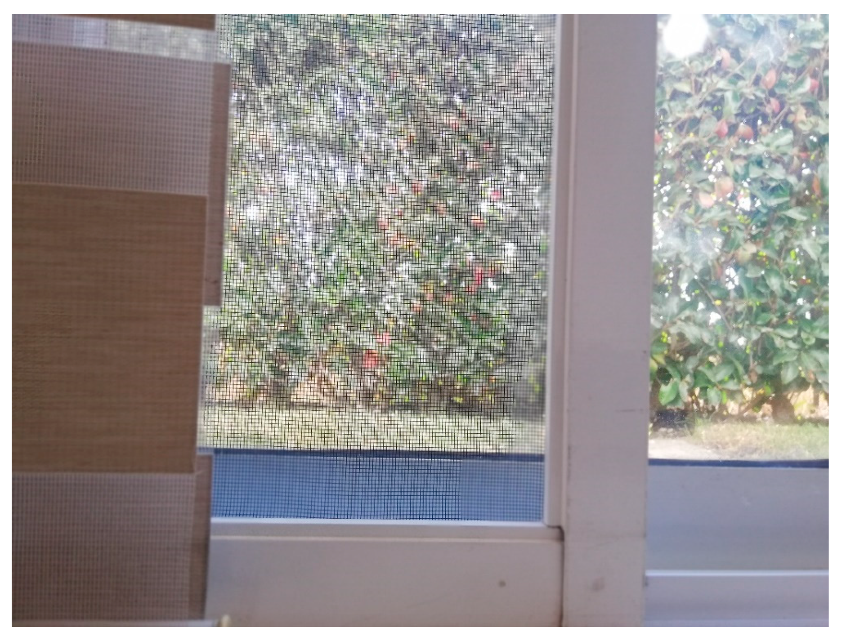 Sensors 22 00305 g024 Sensors 22 00305 g024