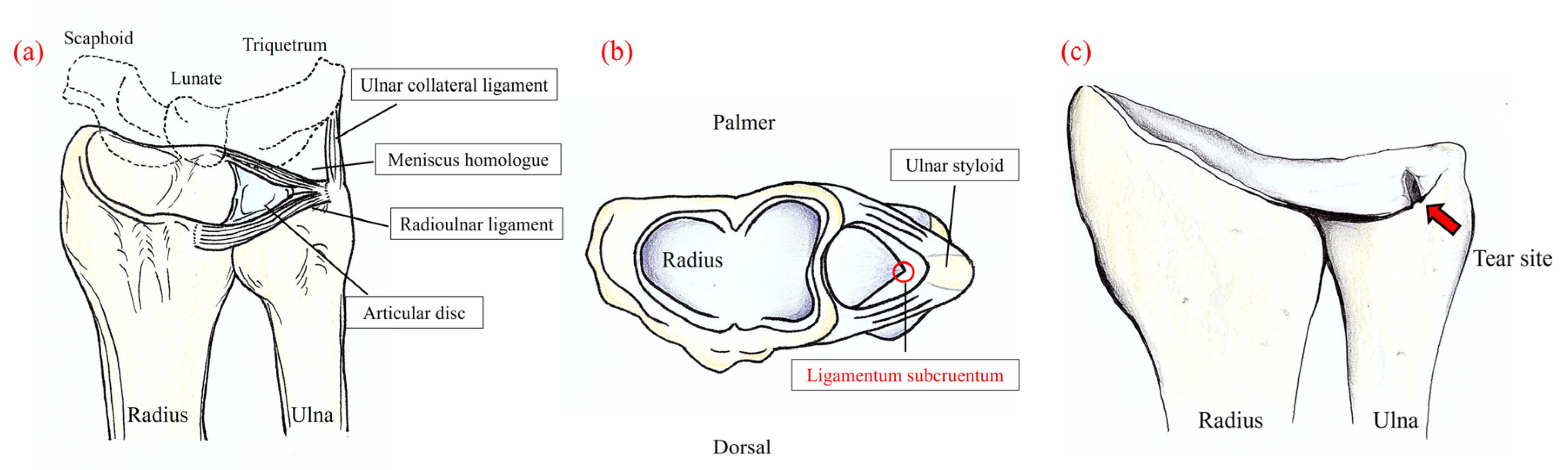 Sensors 22 00345 g001 550