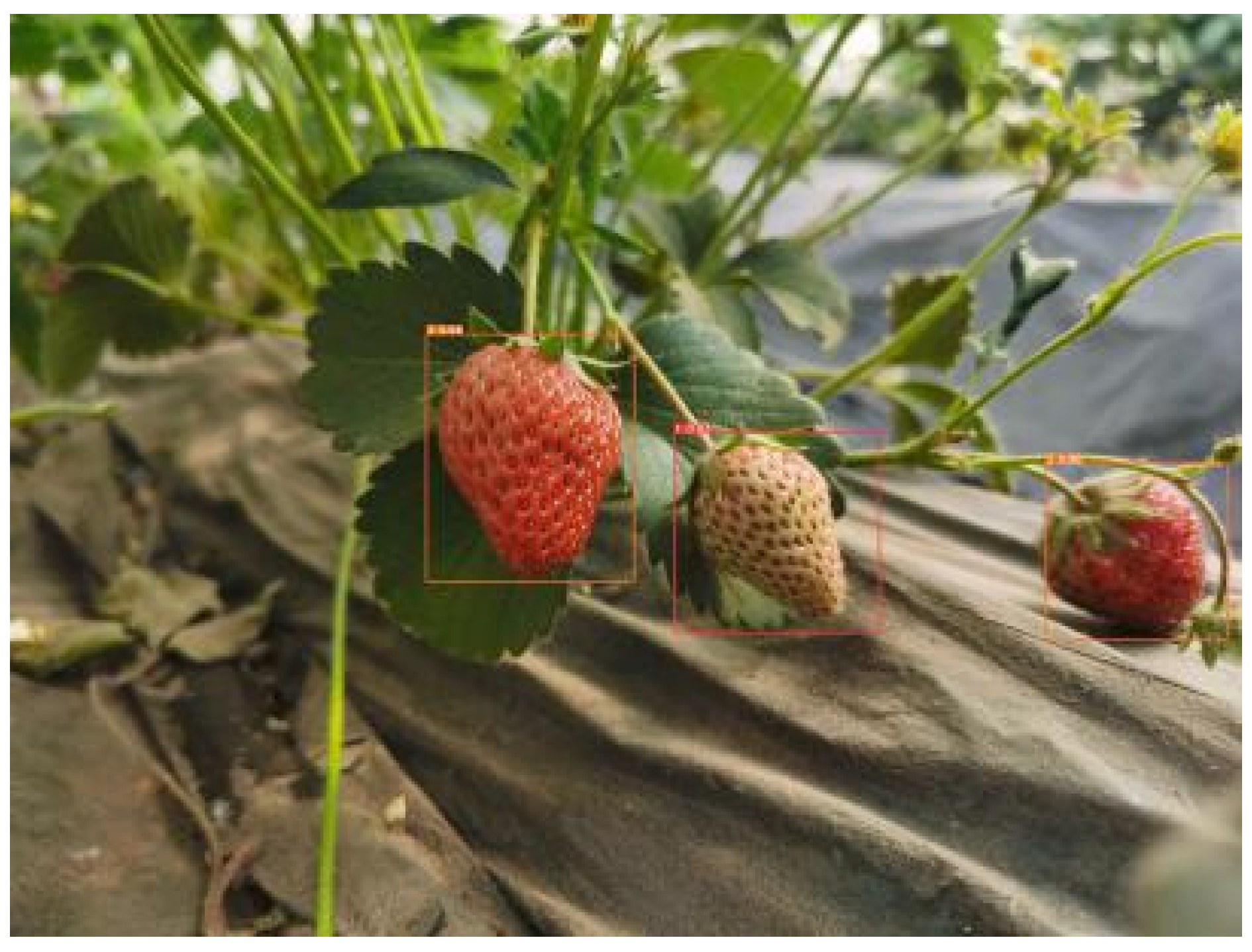 Sensors 22 00419 g005 550