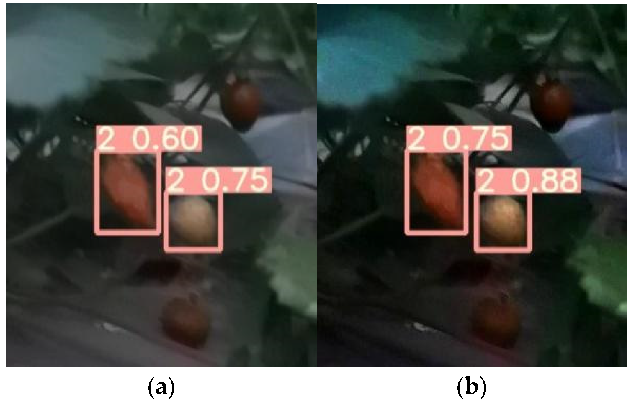 Sensors 22 00419 g006 550