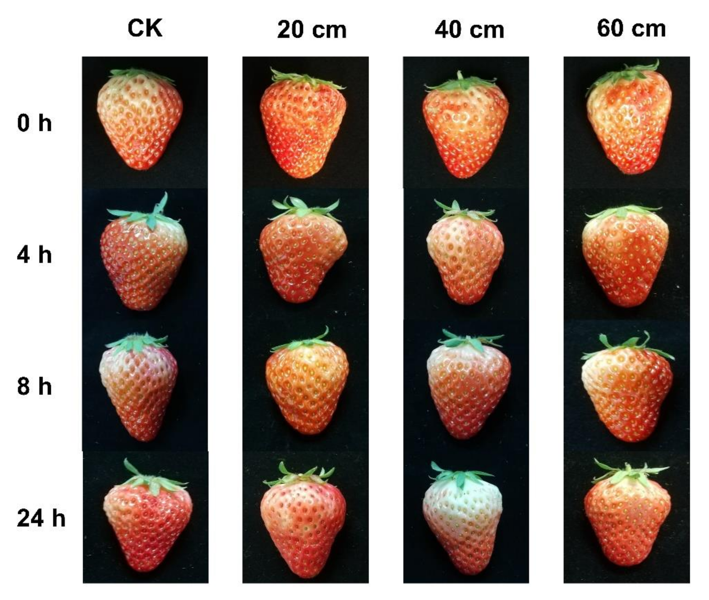 Sensors 22 00427 g001 550