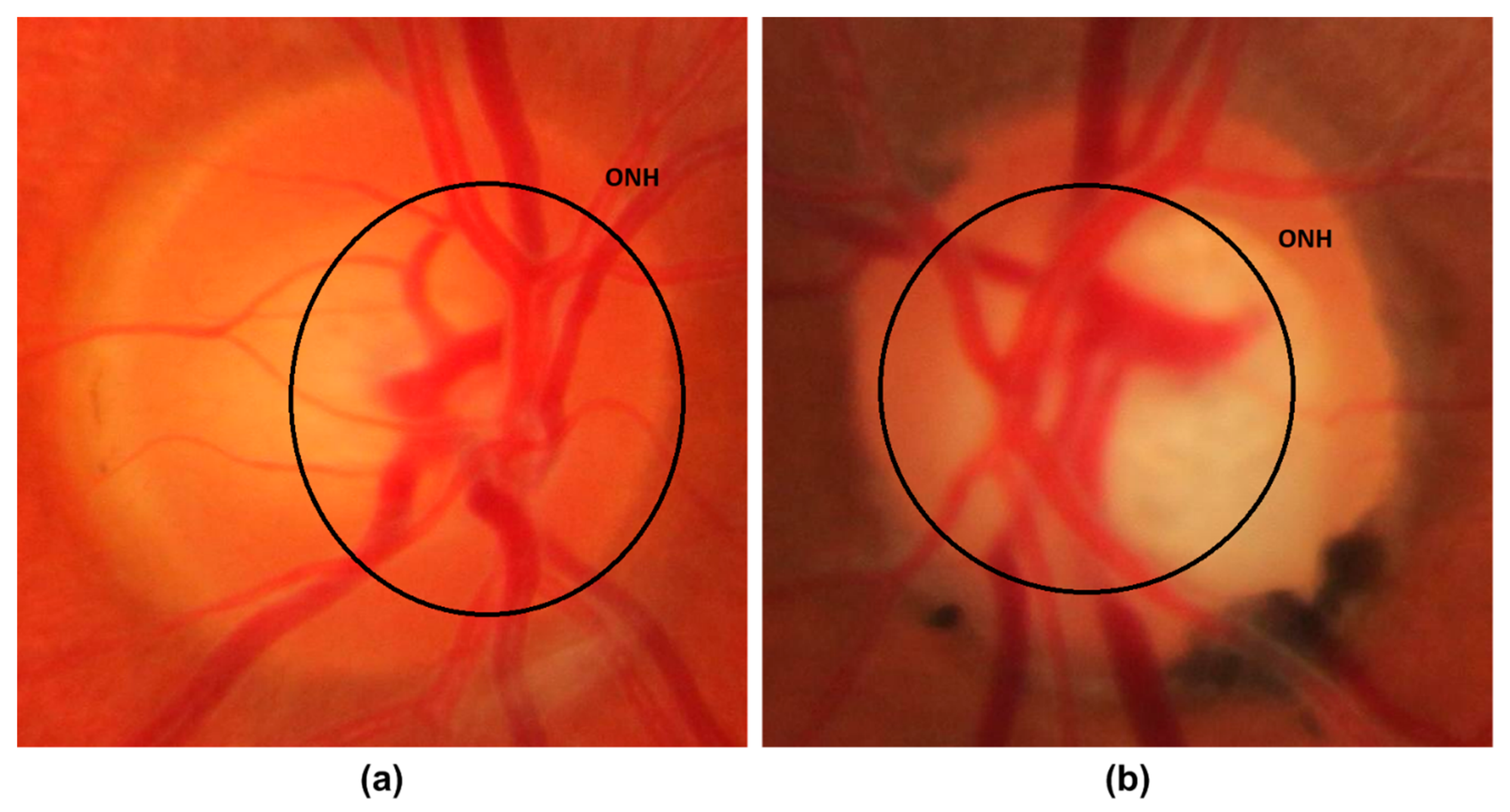 Sensors 22 00434 g001