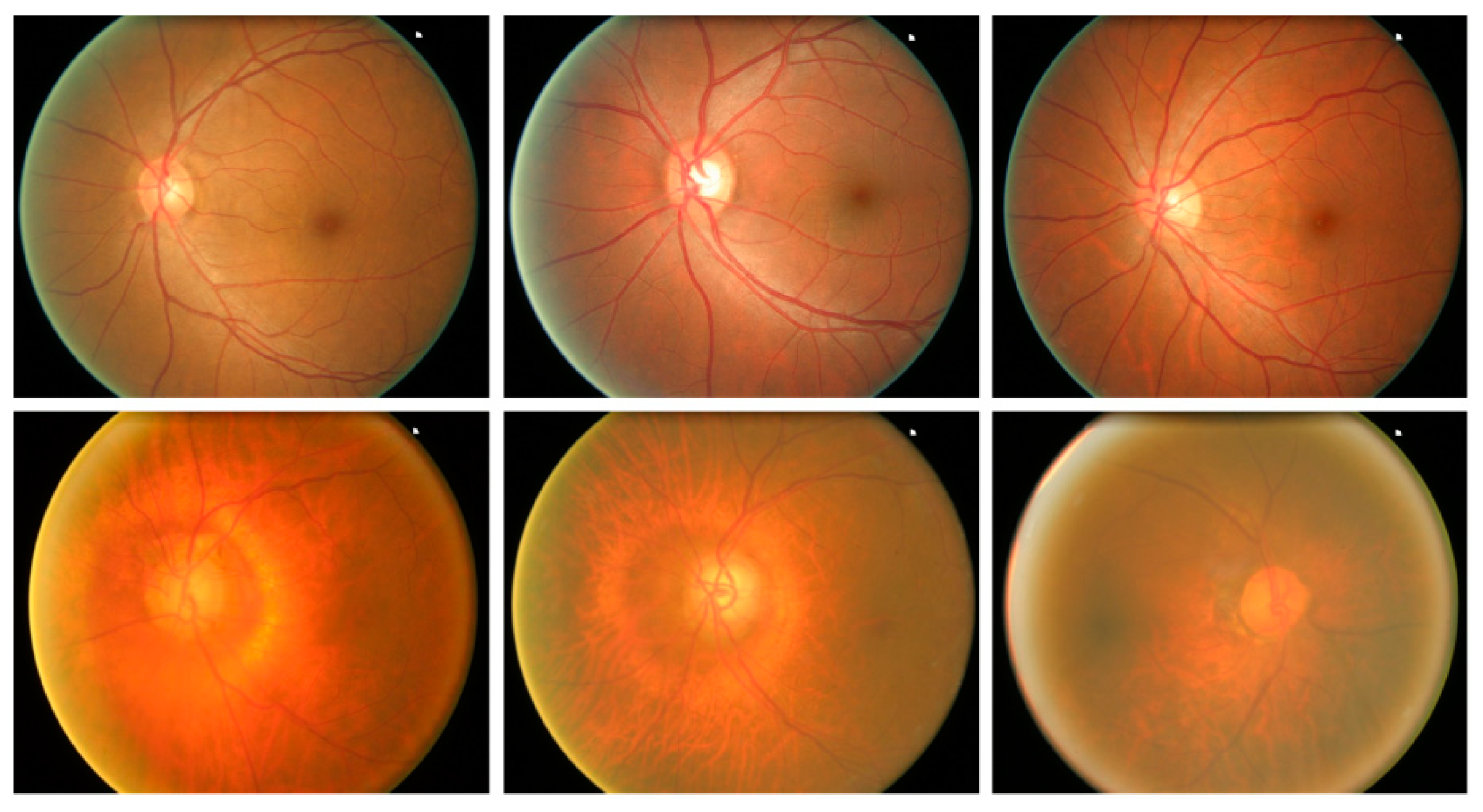 Sensors 22 00434 g005