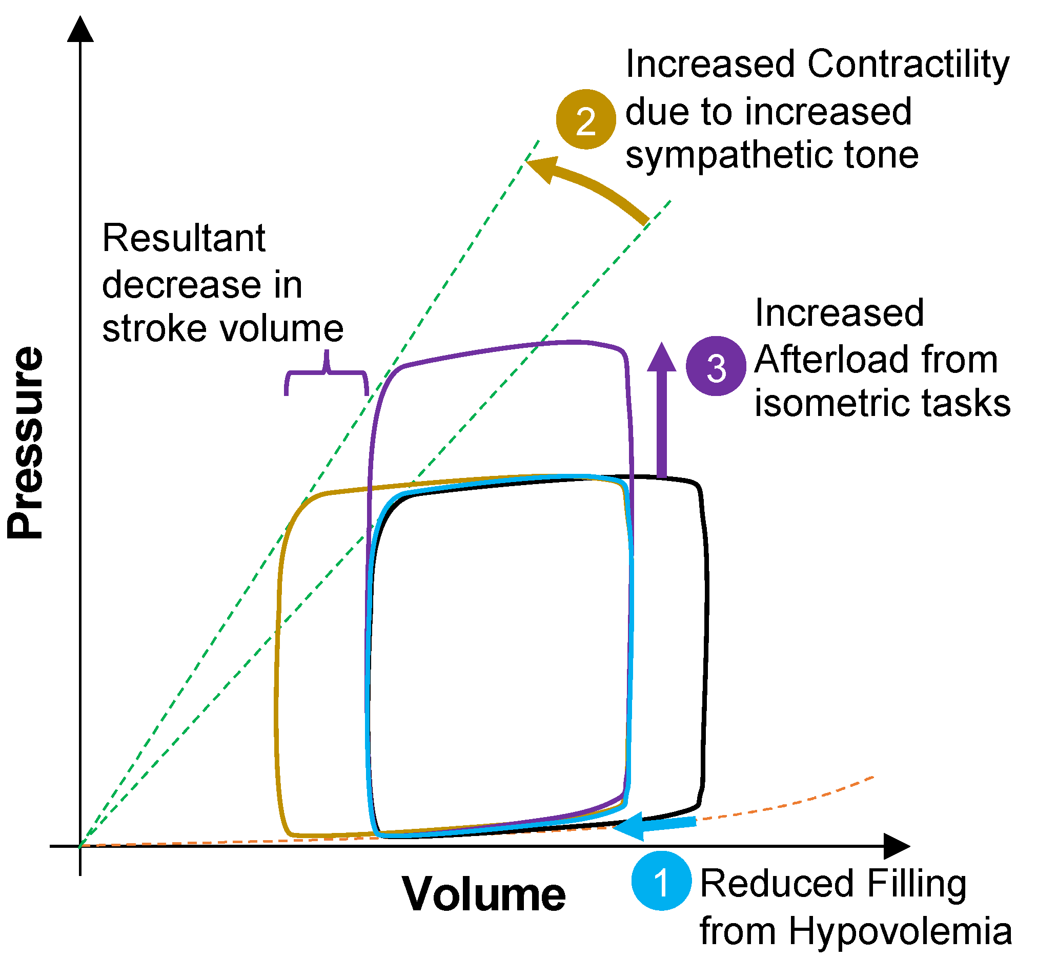 Sensors 22 00442 g003 Sensors 22 00442 g003