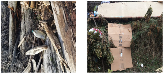 Litter Detection with Deep Learning: A Comparative Study