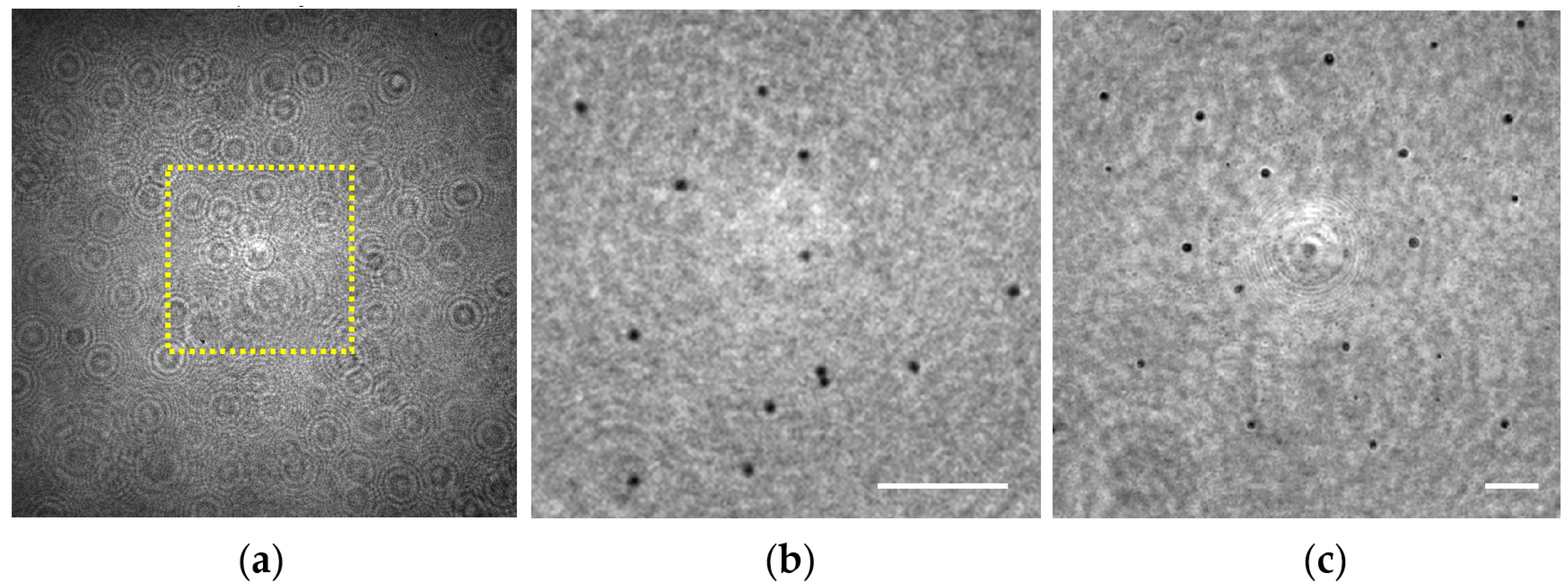 Sensors 22 00553 g007