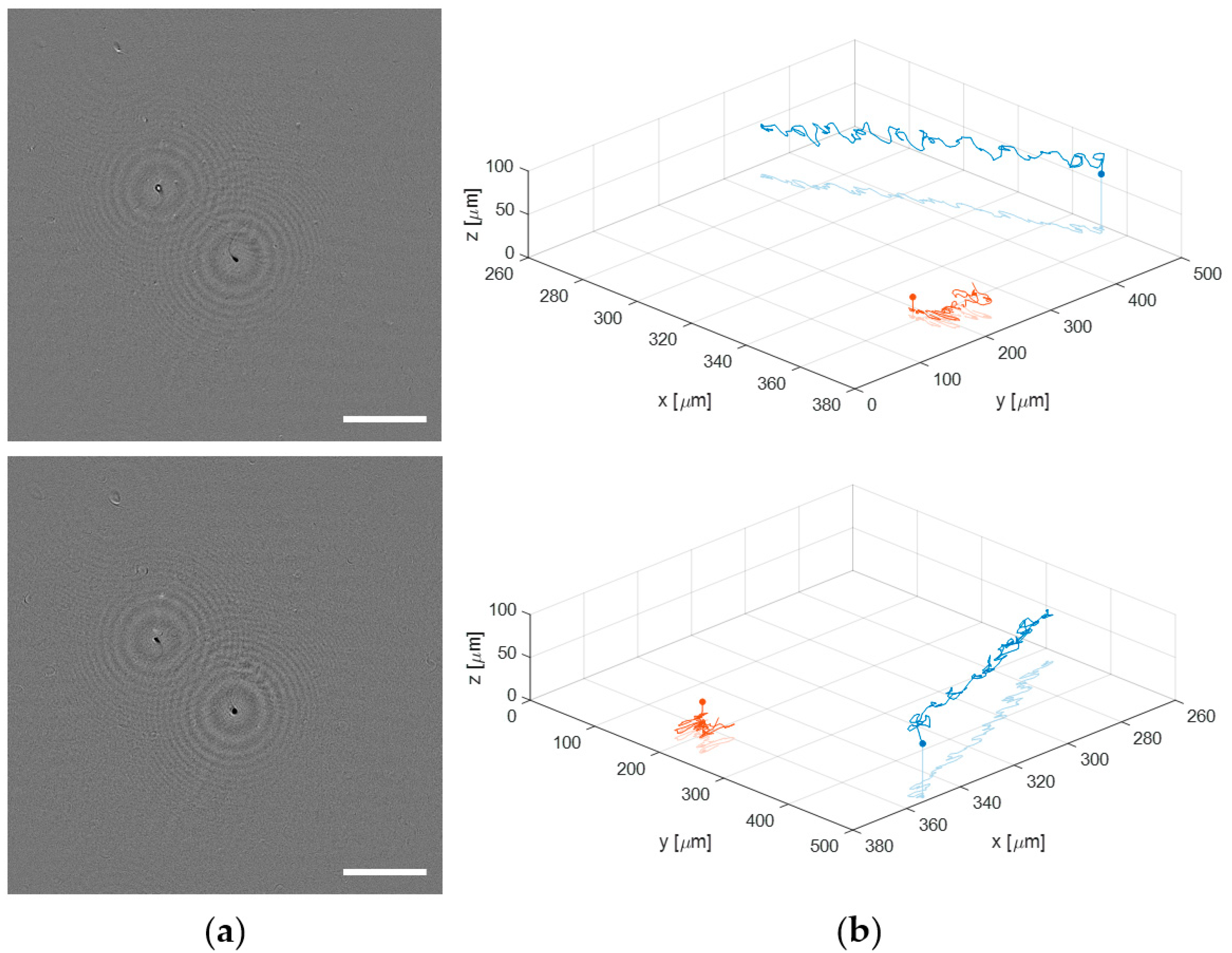 Sensors 22 00553 g010