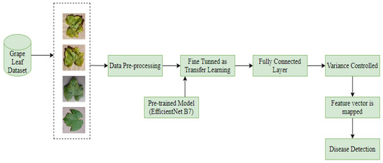 Recognition of Leaf Disease Using Hybrid Convolutional Neural Network ...