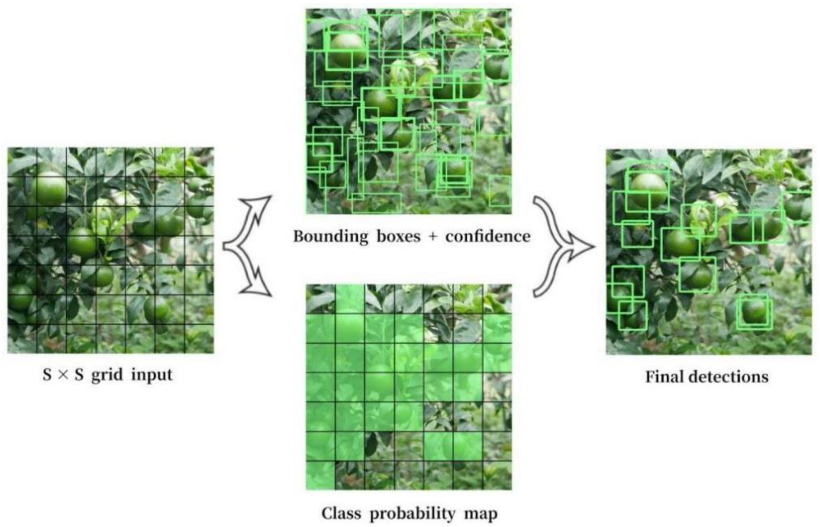 Sensors 22 00576 g001
