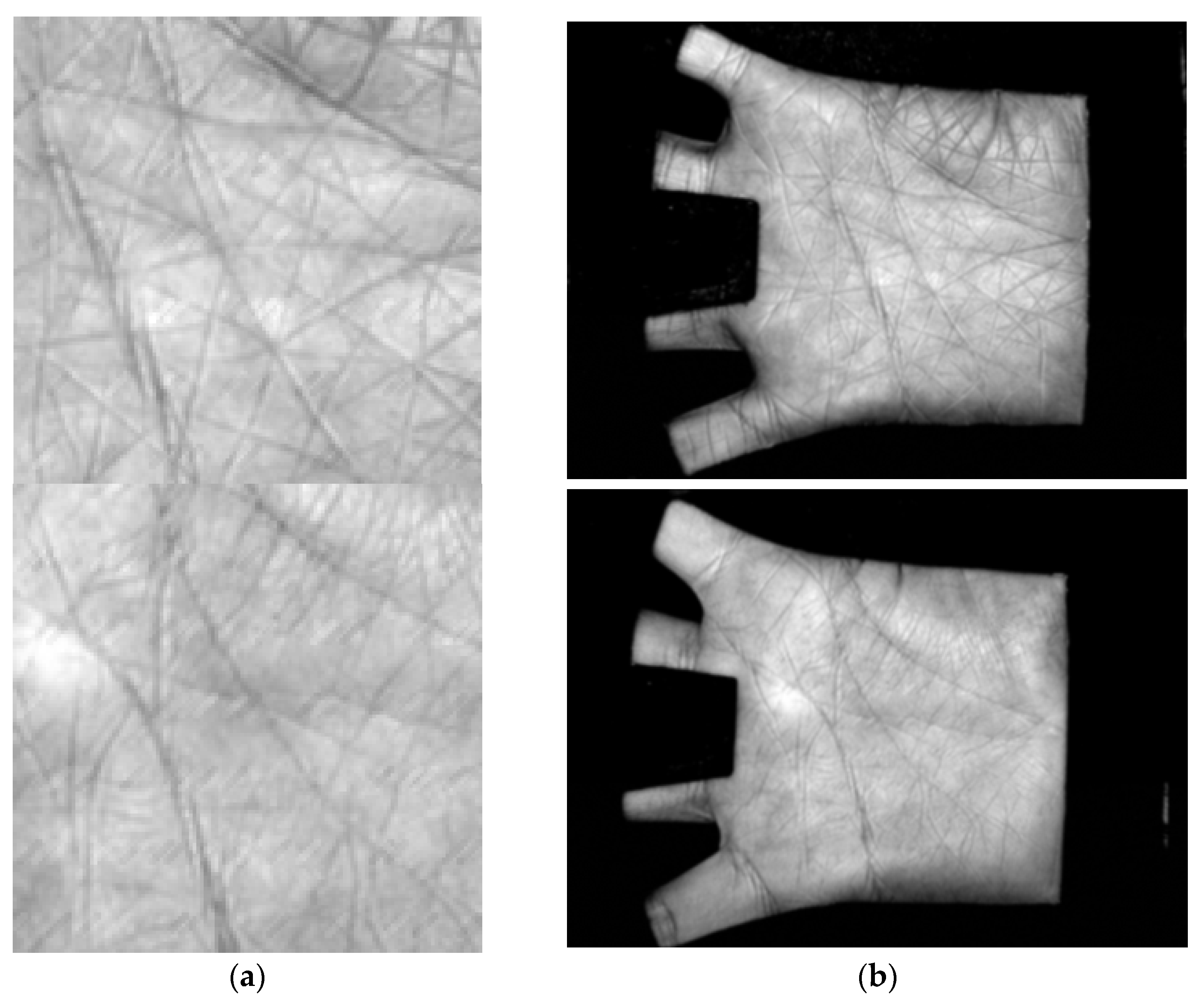 Sensors 22 00591 g004