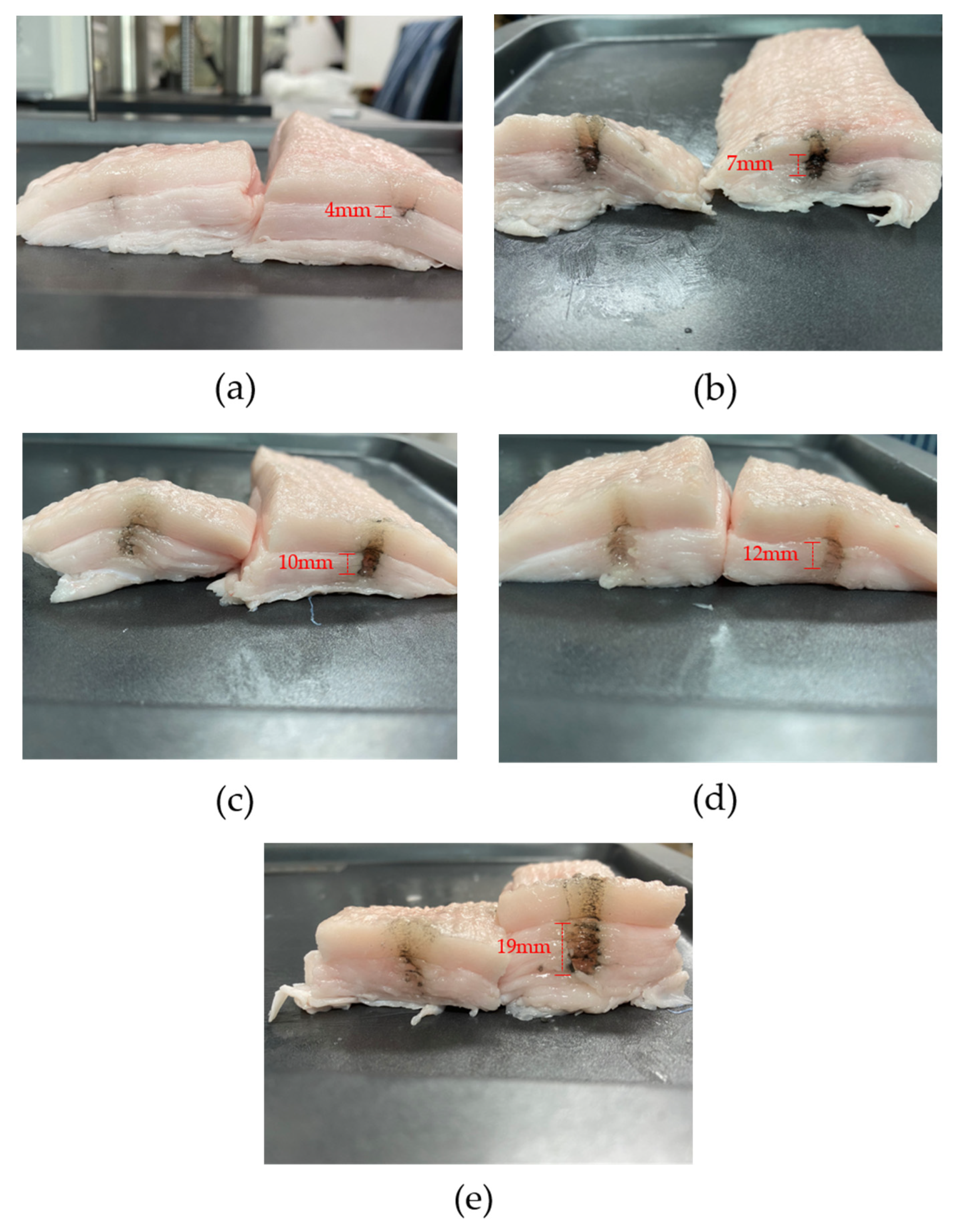 Sensors 22 00624 g014 550