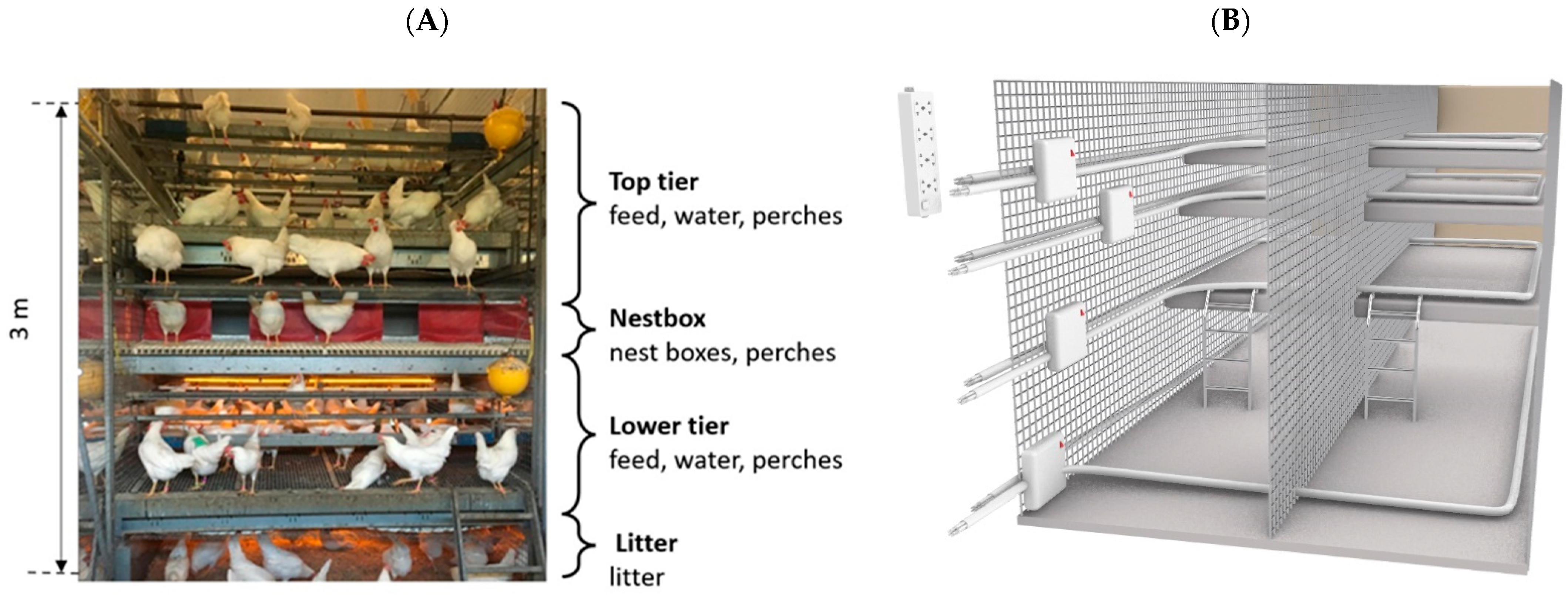 Sensors 22 00659 g002 550