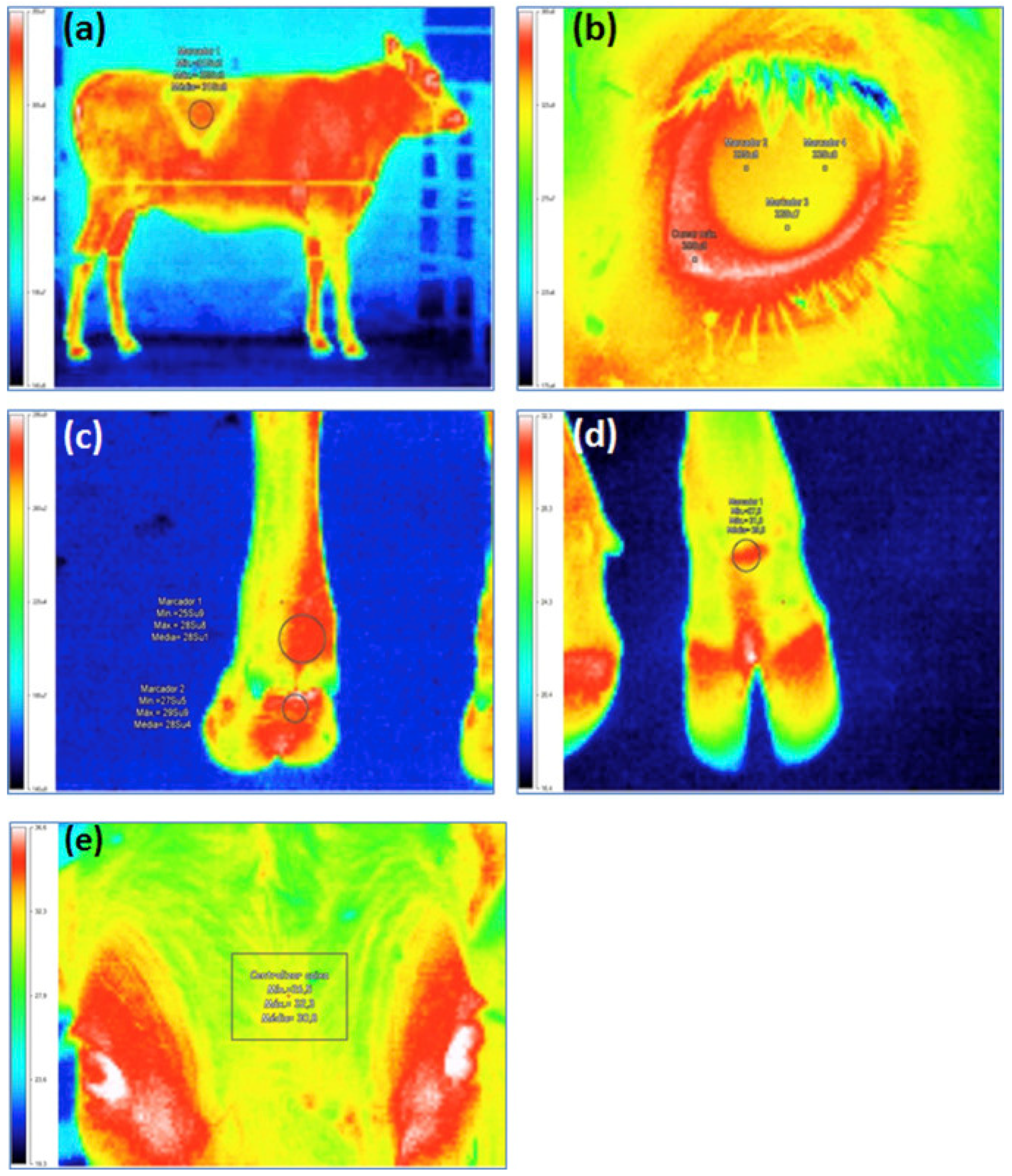 Sensors 22 00705 g006