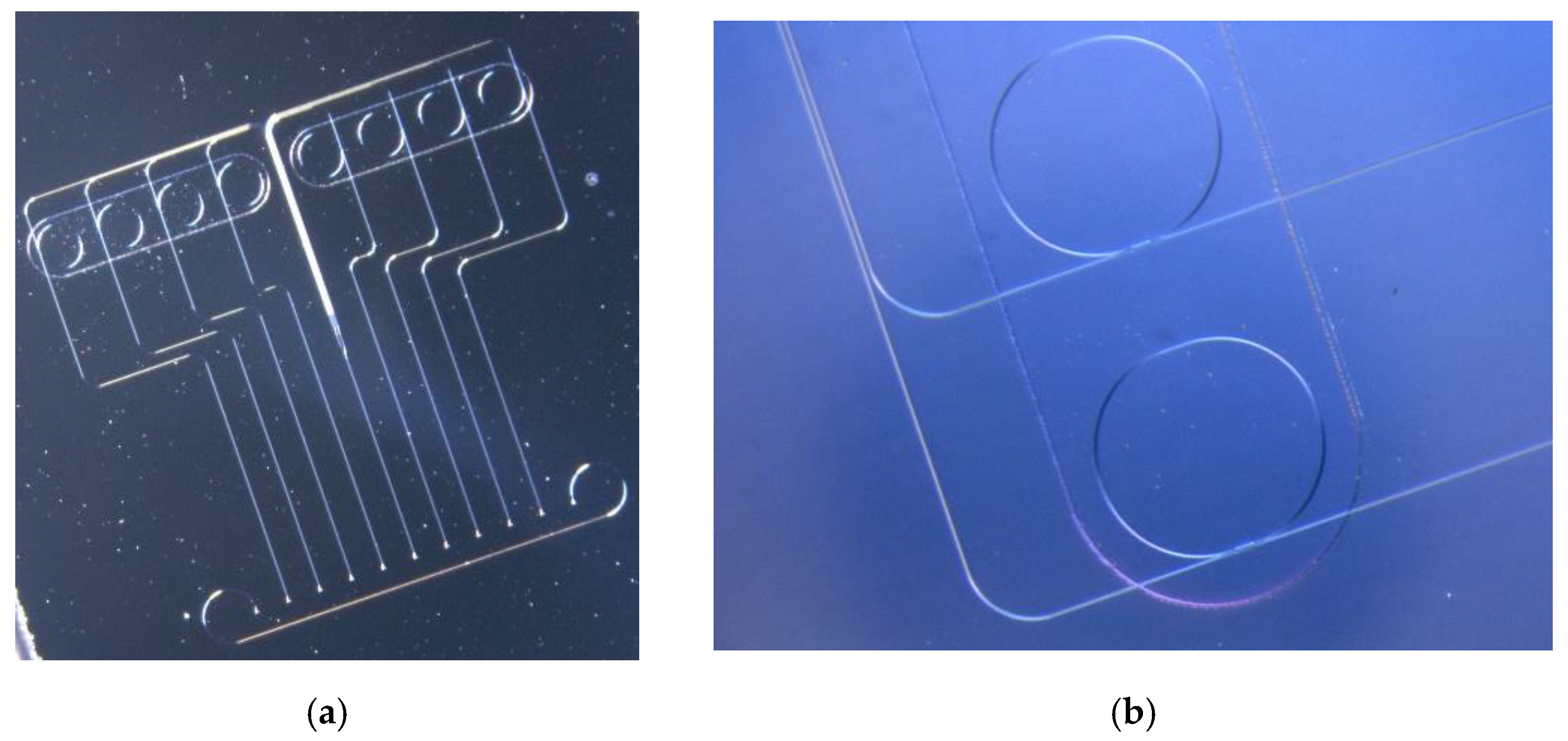 Sensors 22 00708 g001
