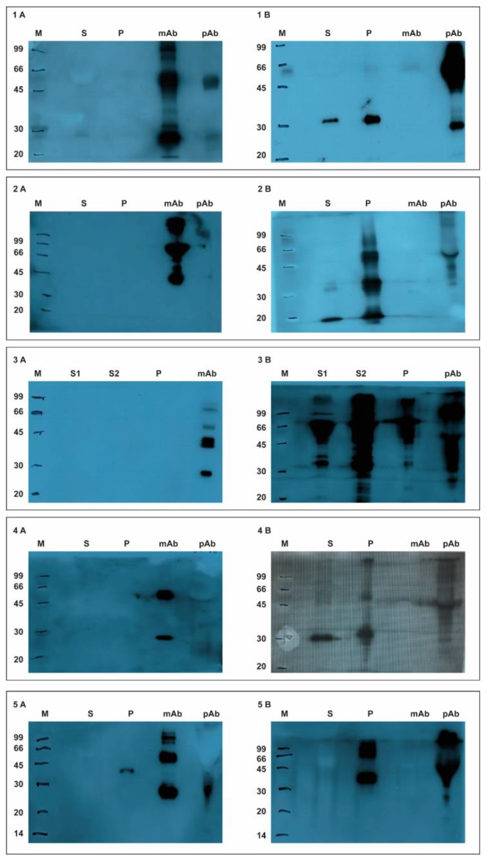 Sensors 22 00708 g003