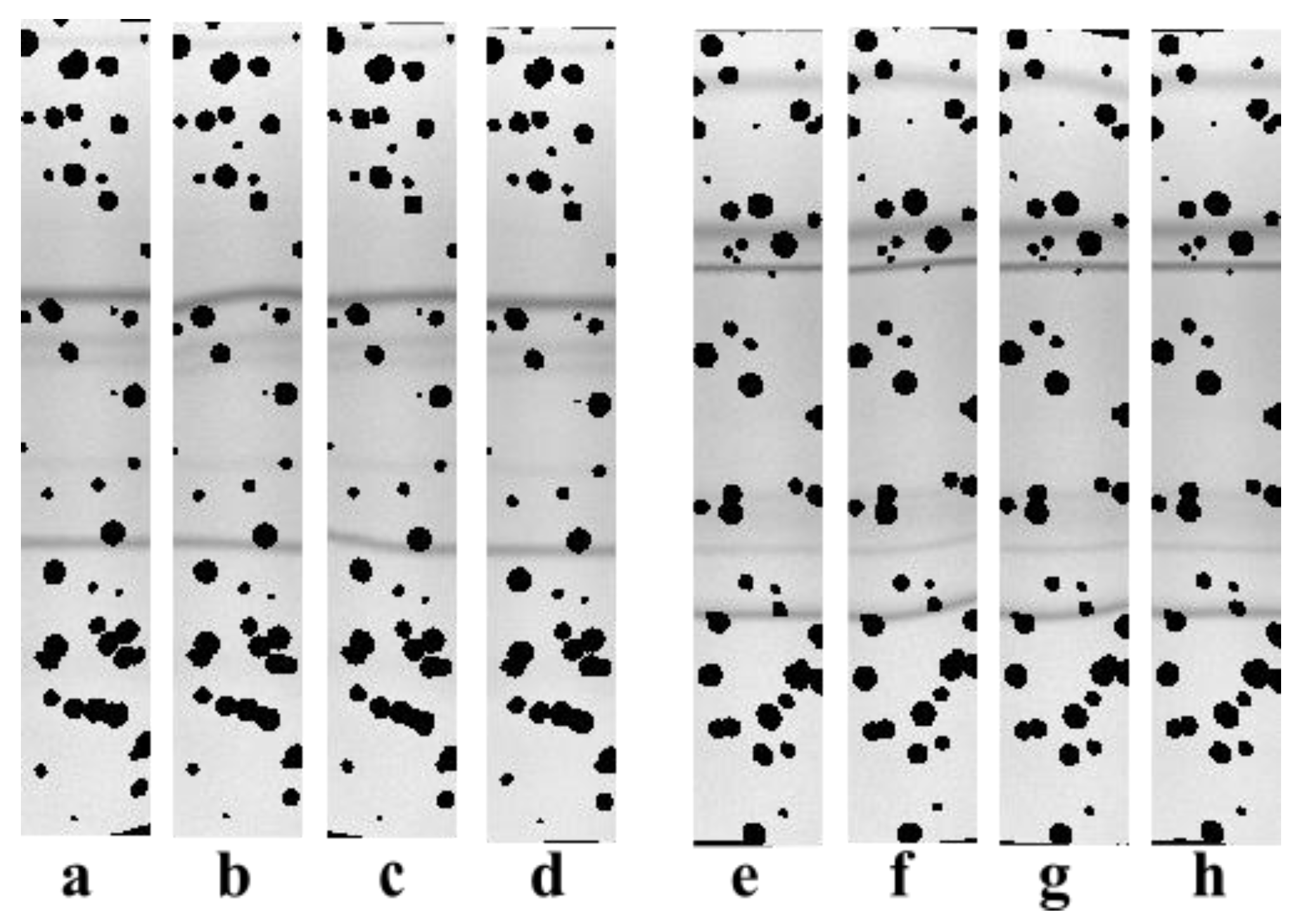 Sensors 22 00724 g008 550