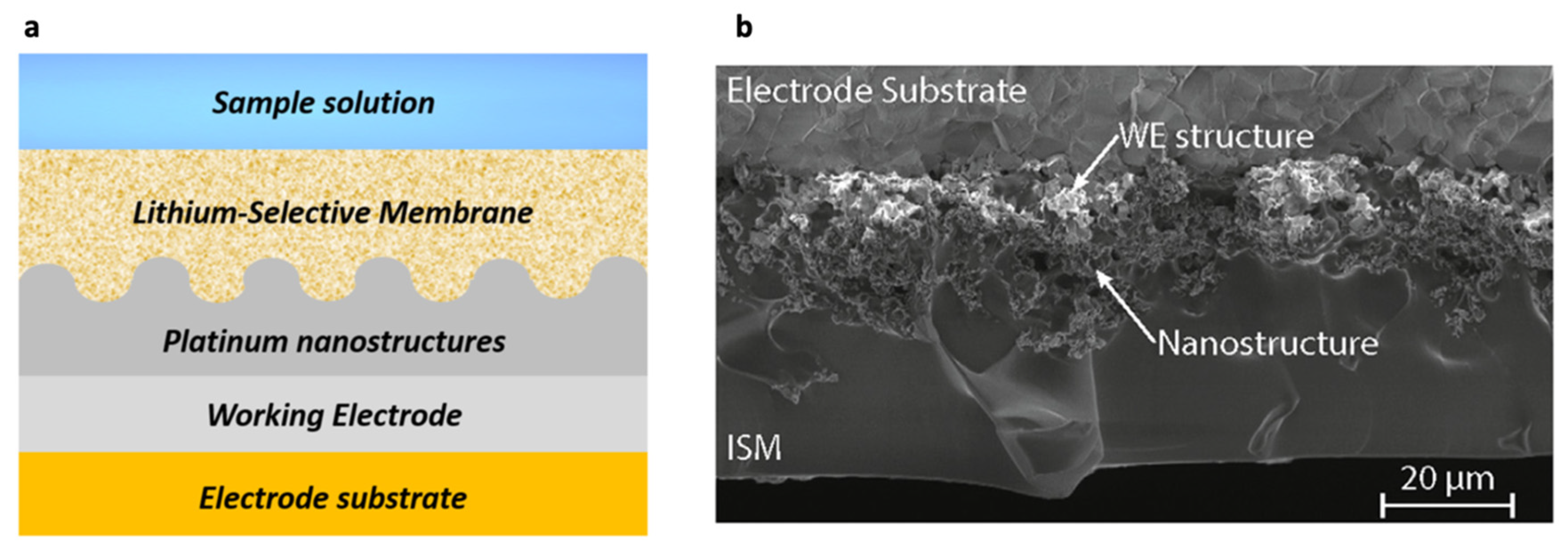 Sensors 22 00736 g007 550
