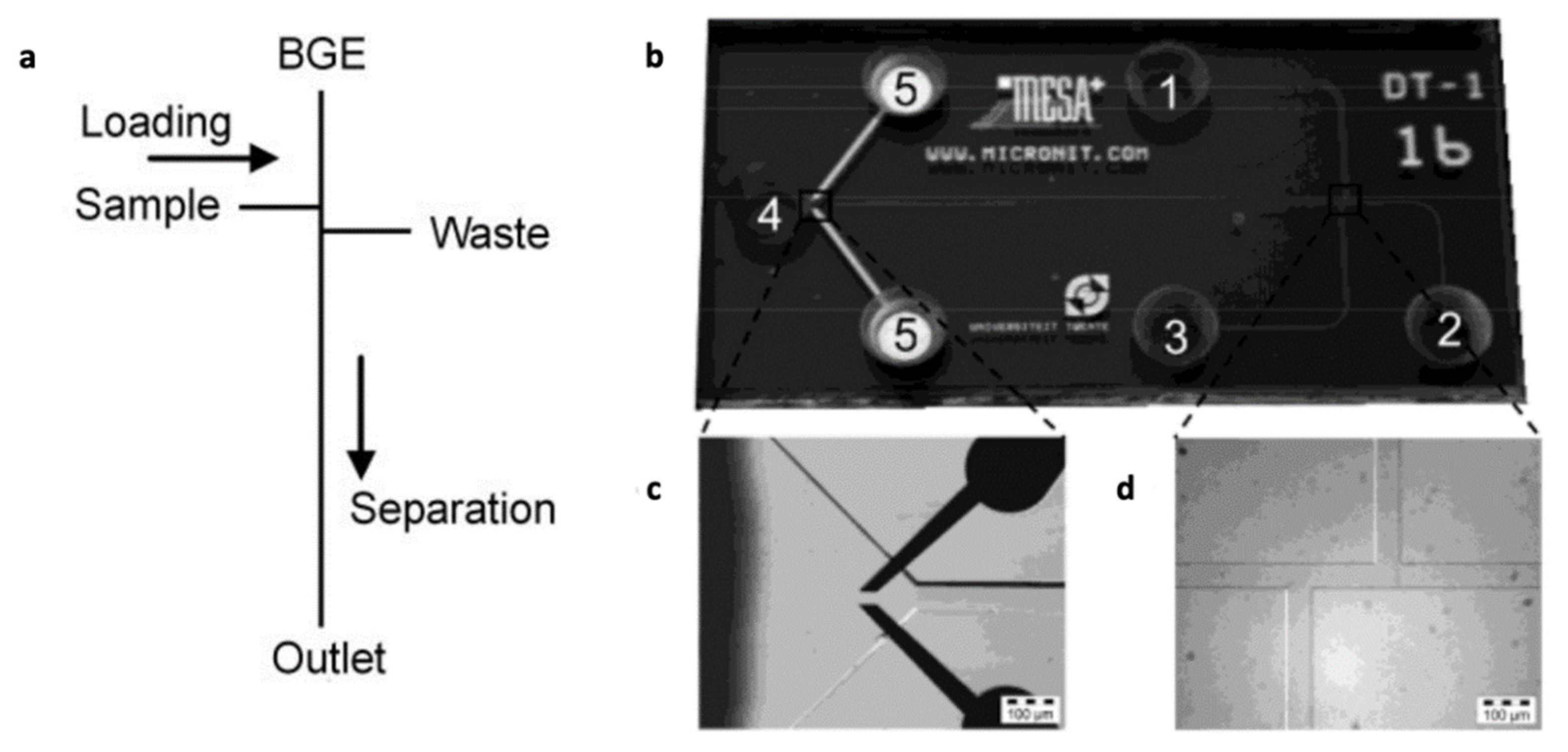 Sensors 22 00736 g009 550
