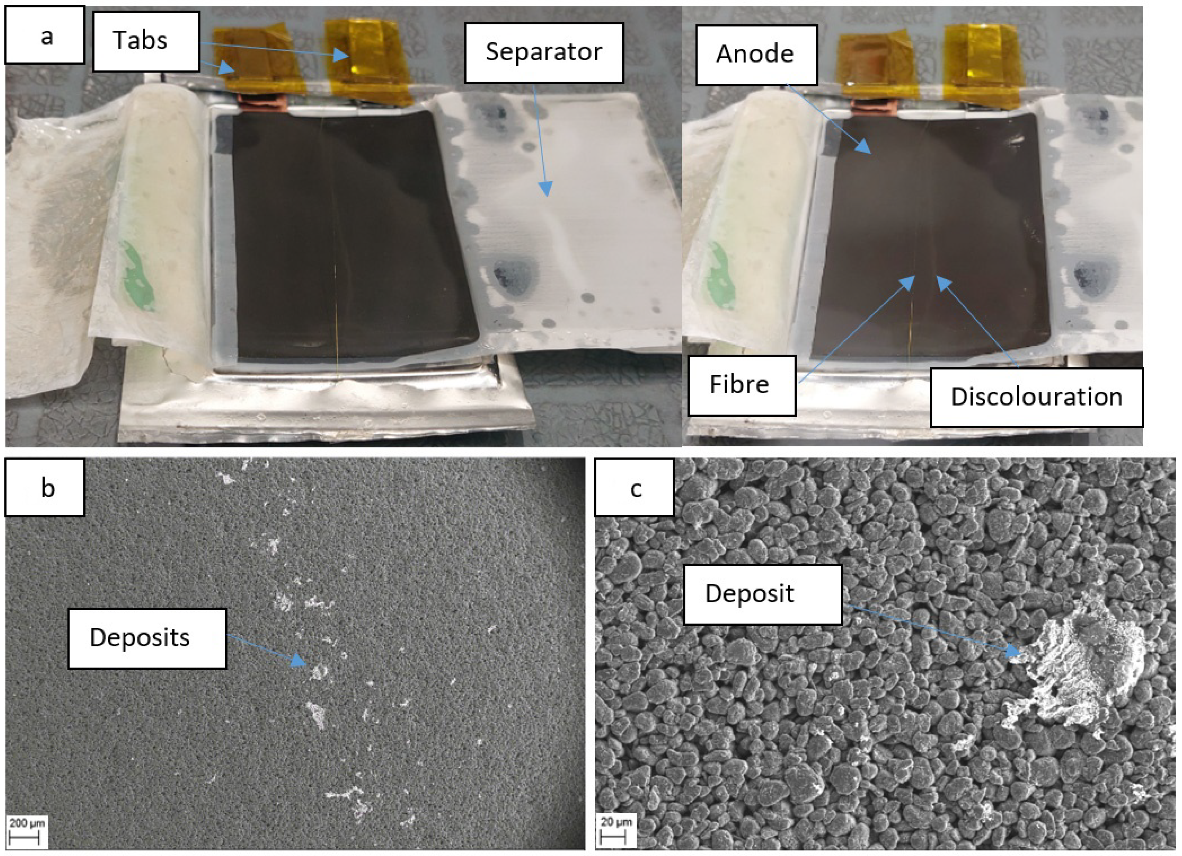 Sensors 22 00738 g007 550