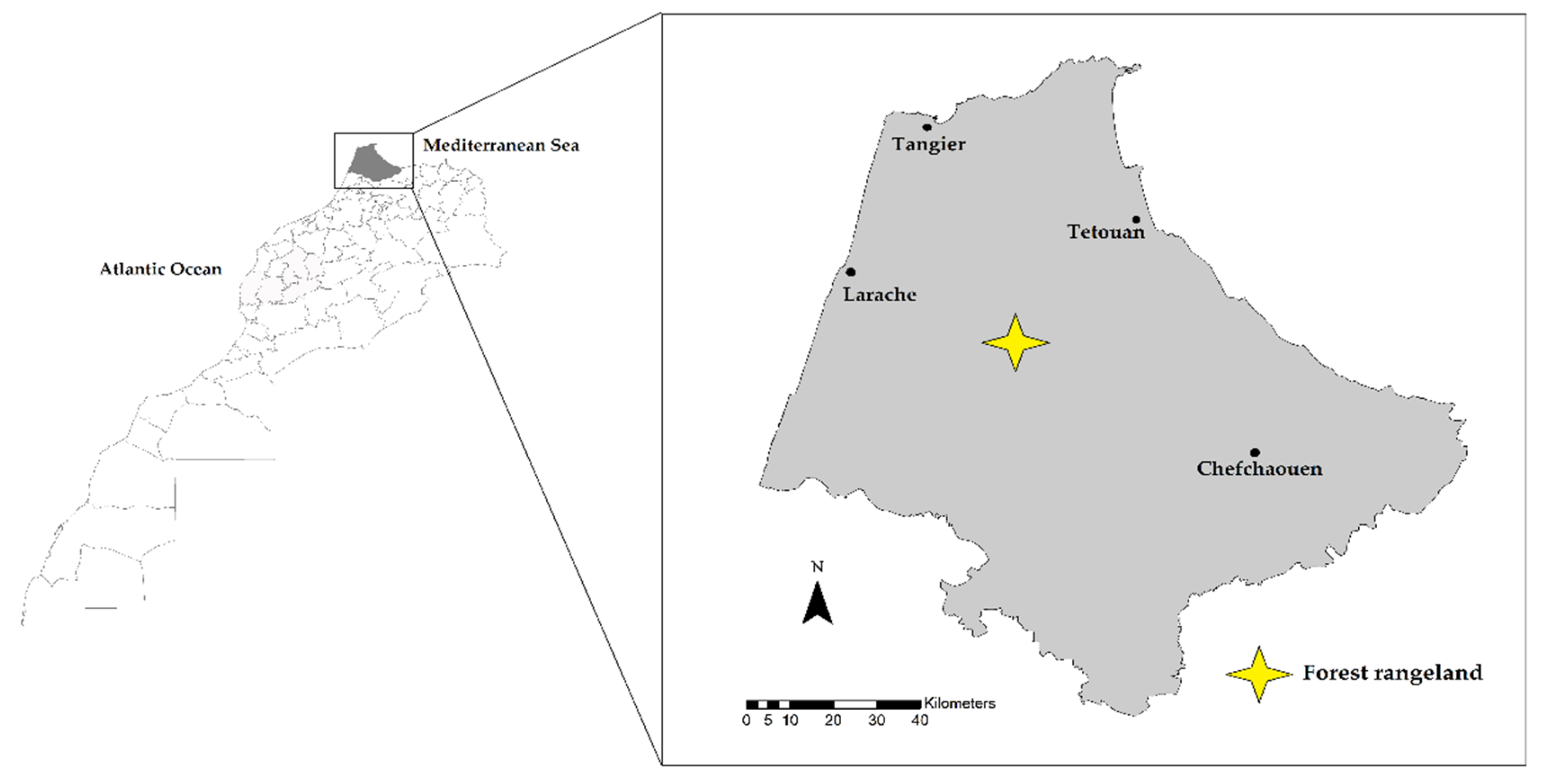 Sensors 22 00781 g001 Sensors 22 00781 g001
