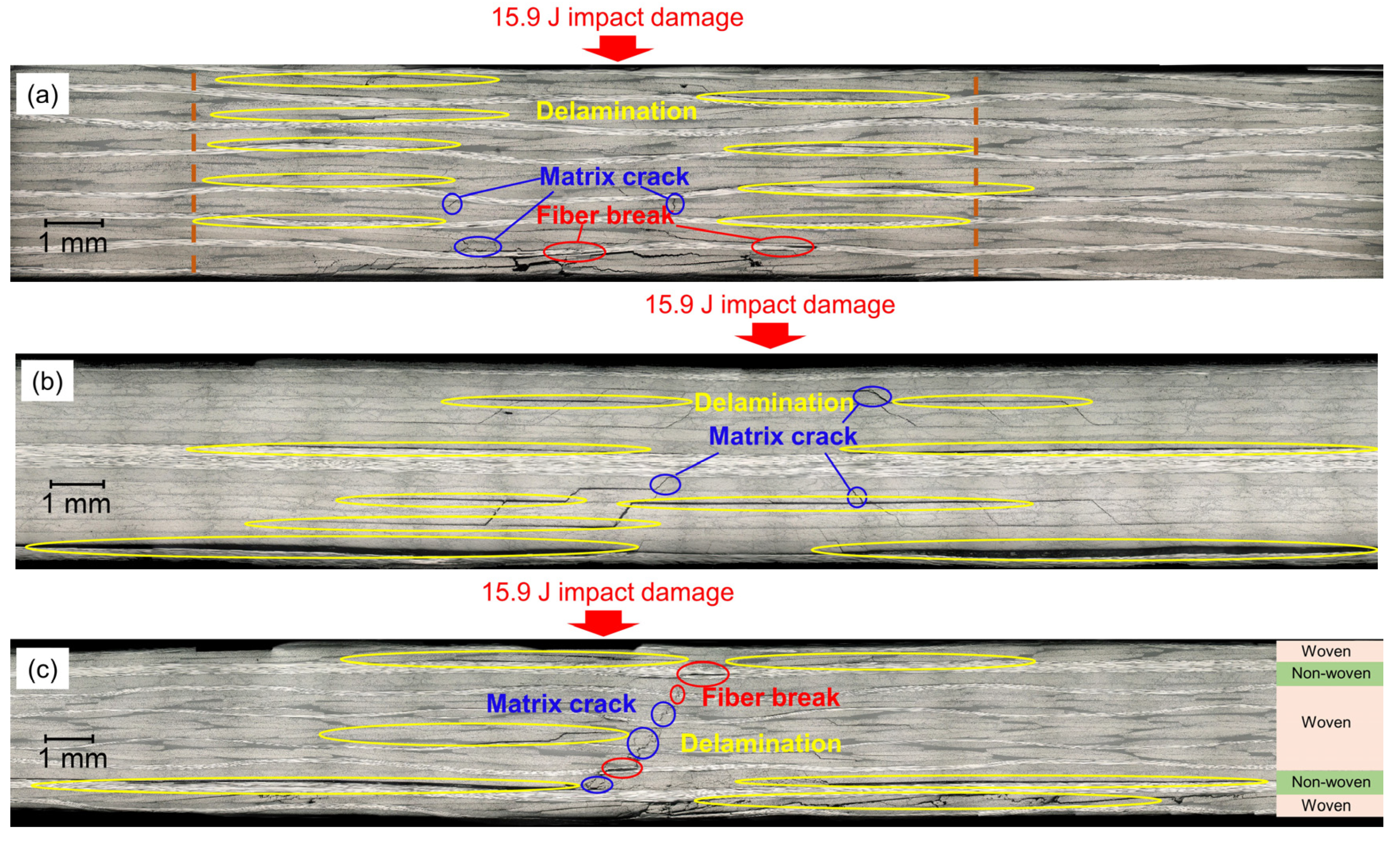 Sensors 22 00789 g001