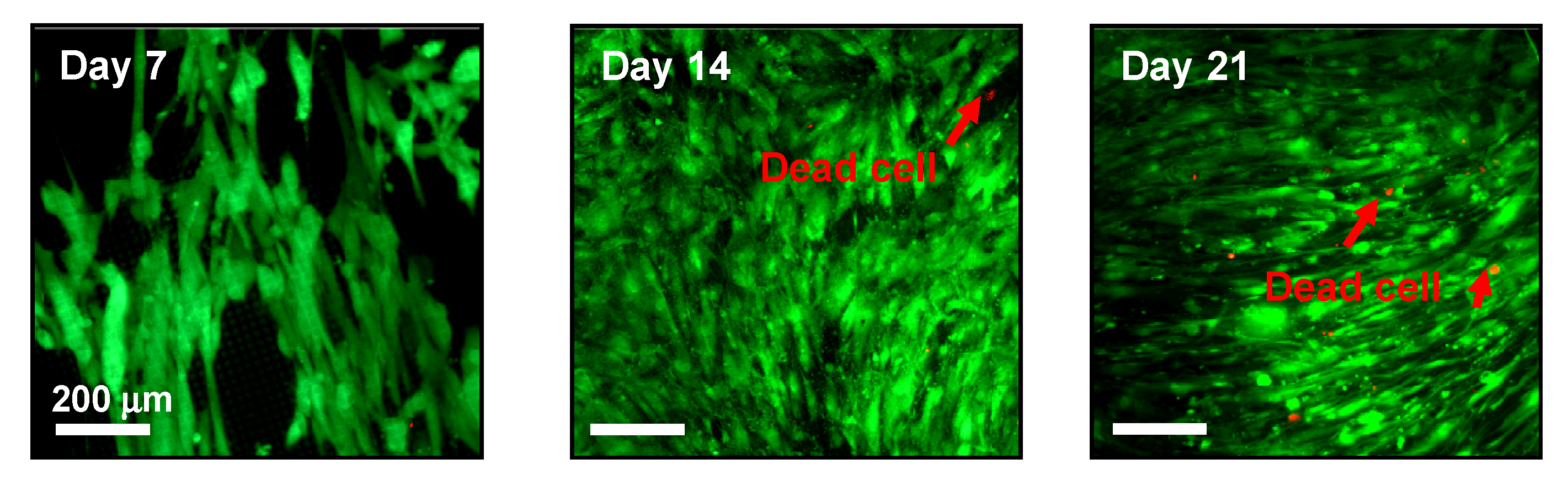 Sensors 22 00802 g007