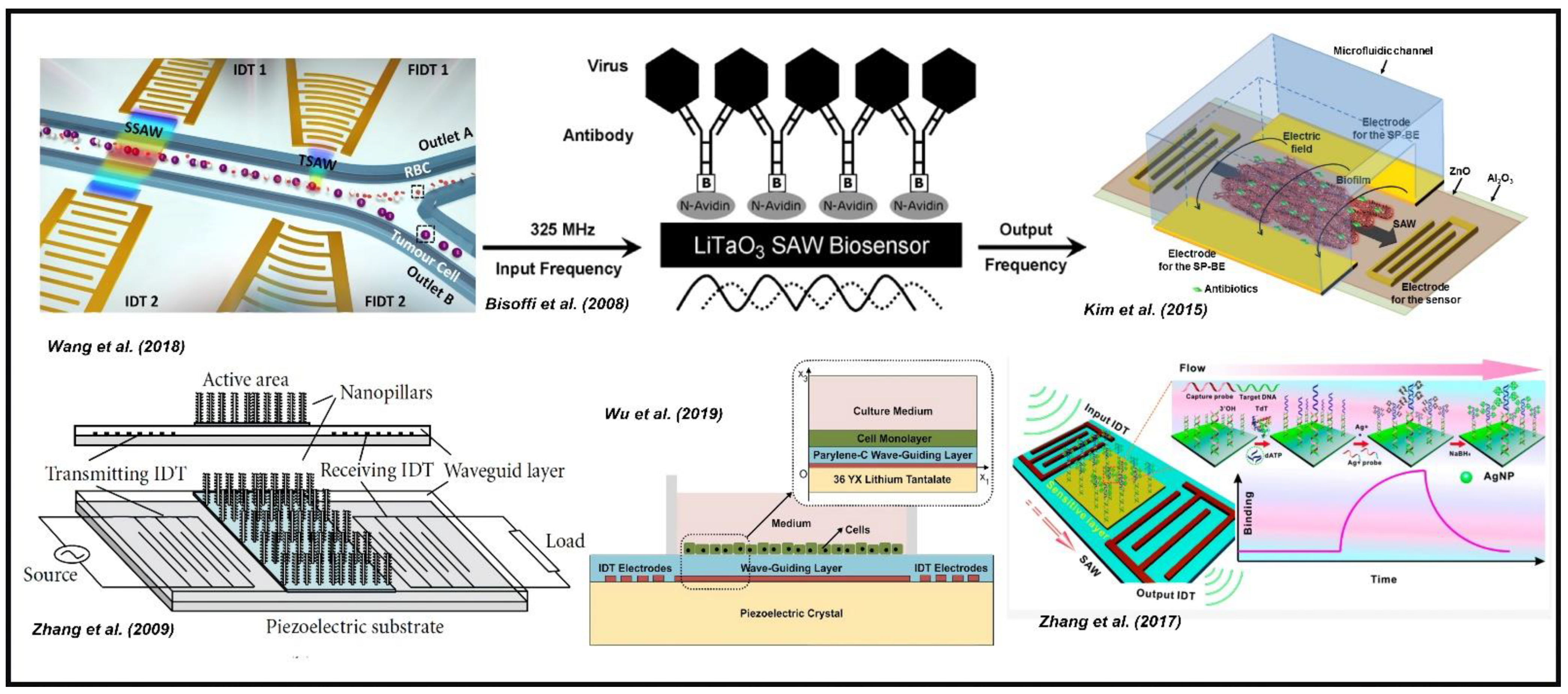 Sensors 22 00820 g019