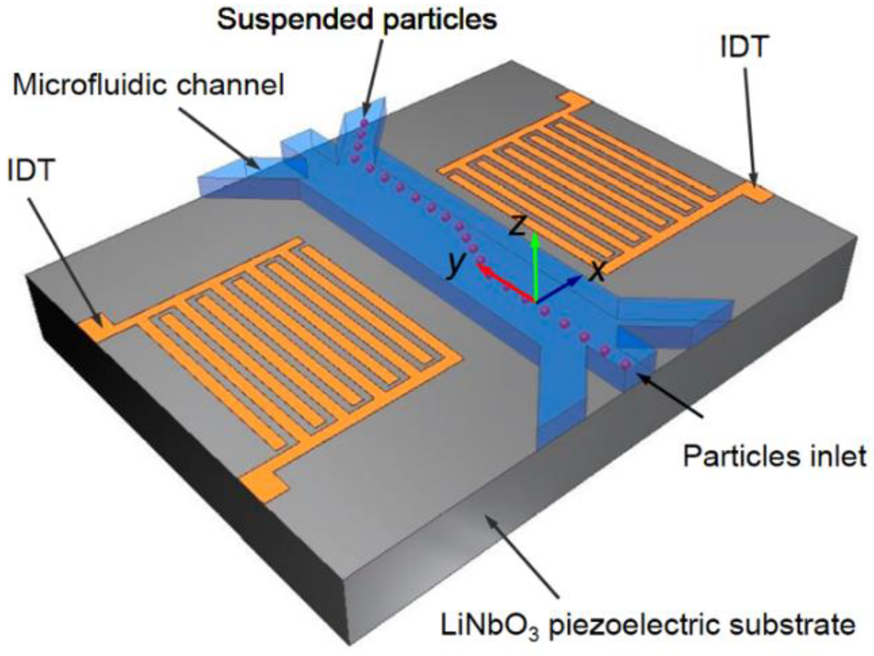 See sensor