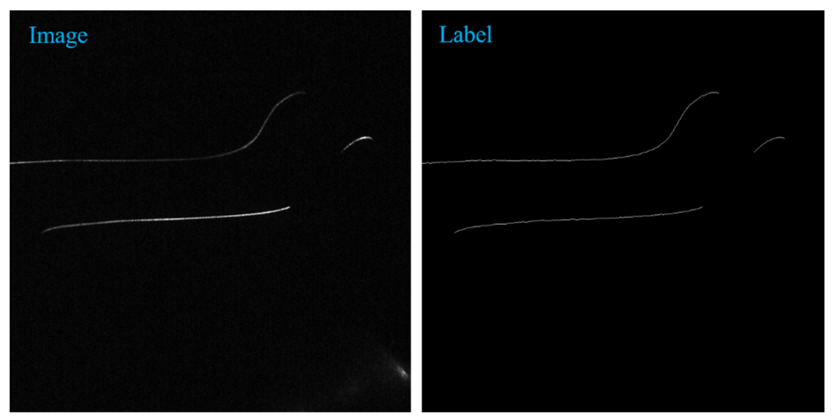 Sensors 22 00859 g001 550