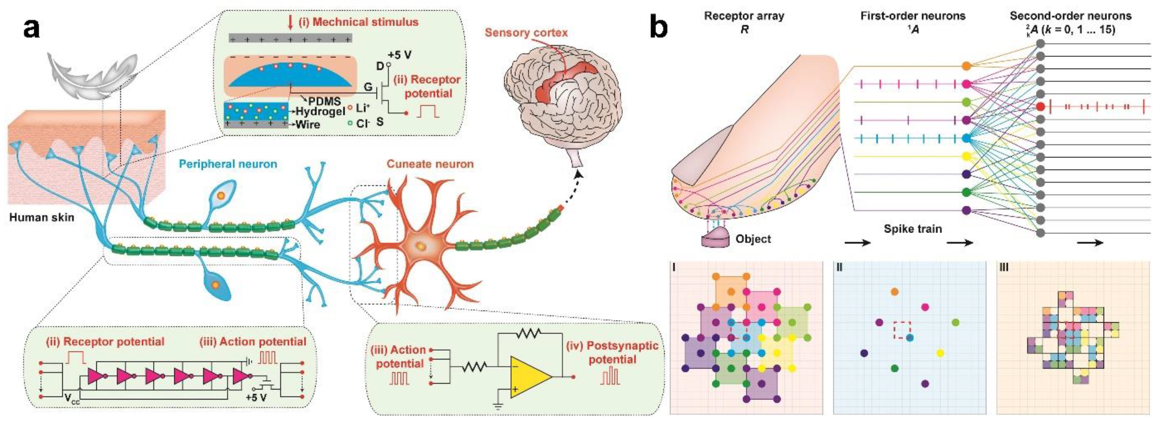Sensors 22 00975 g012 550
