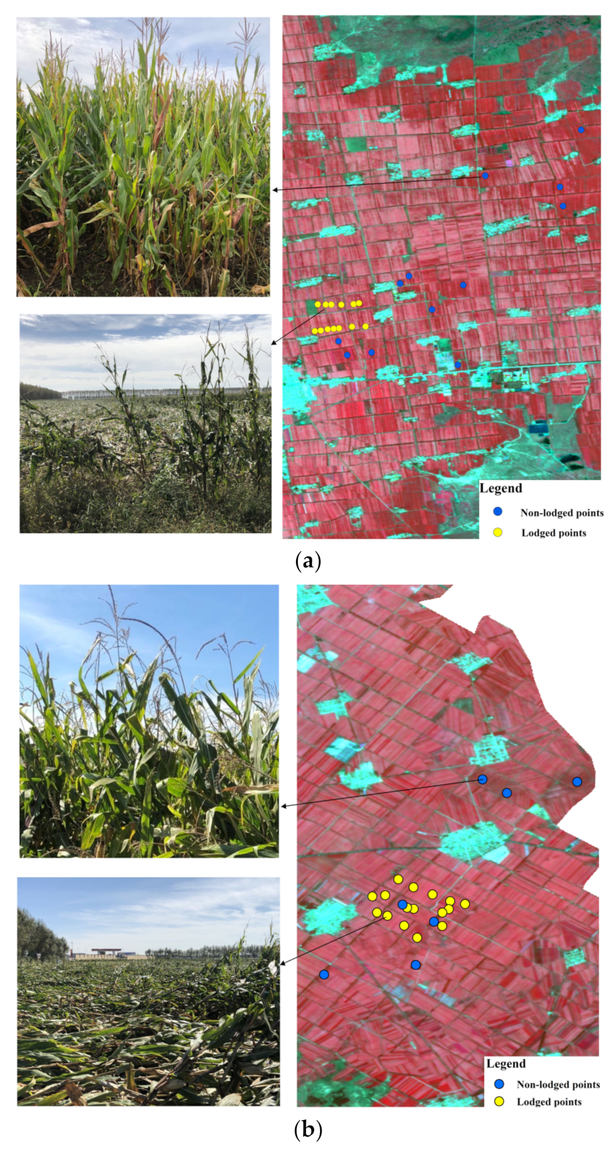 Sensors 22 00989 g003 550