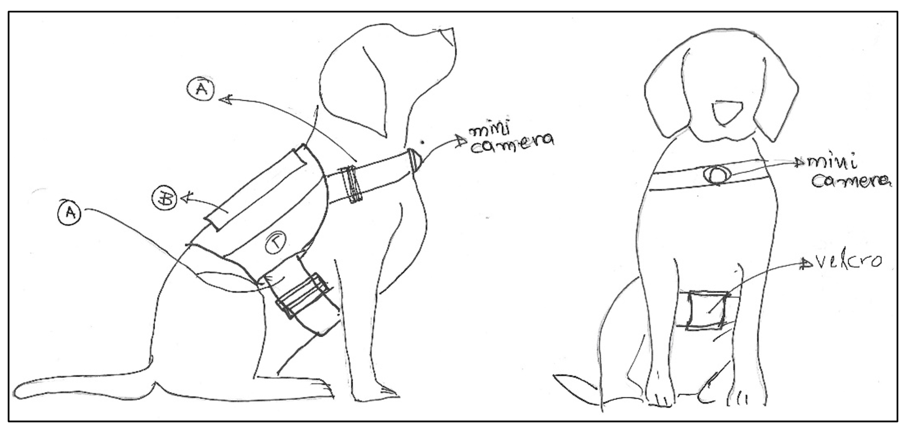 Sensors 22 00993 g002 550