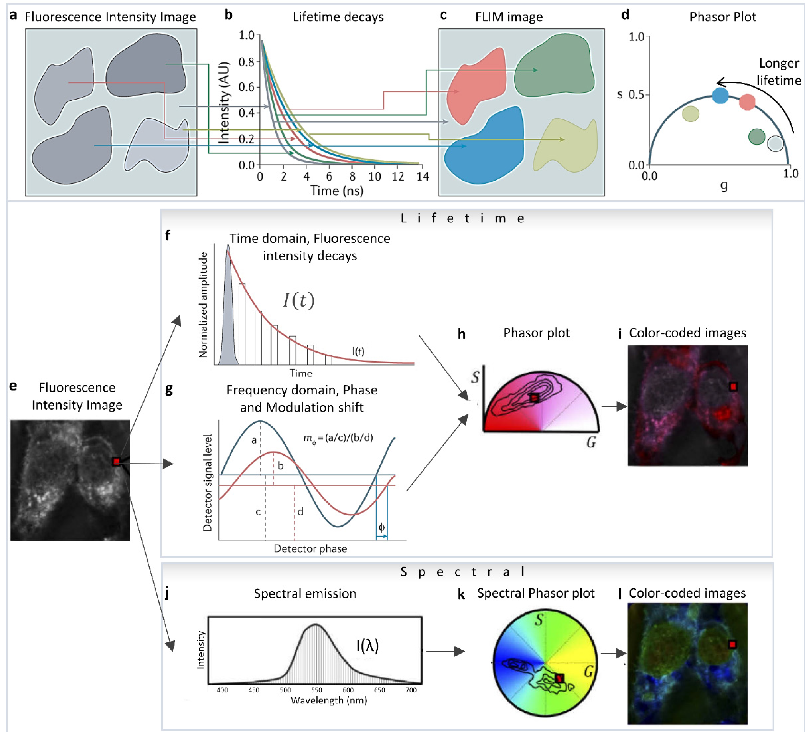 Sensors 22 00999 g001