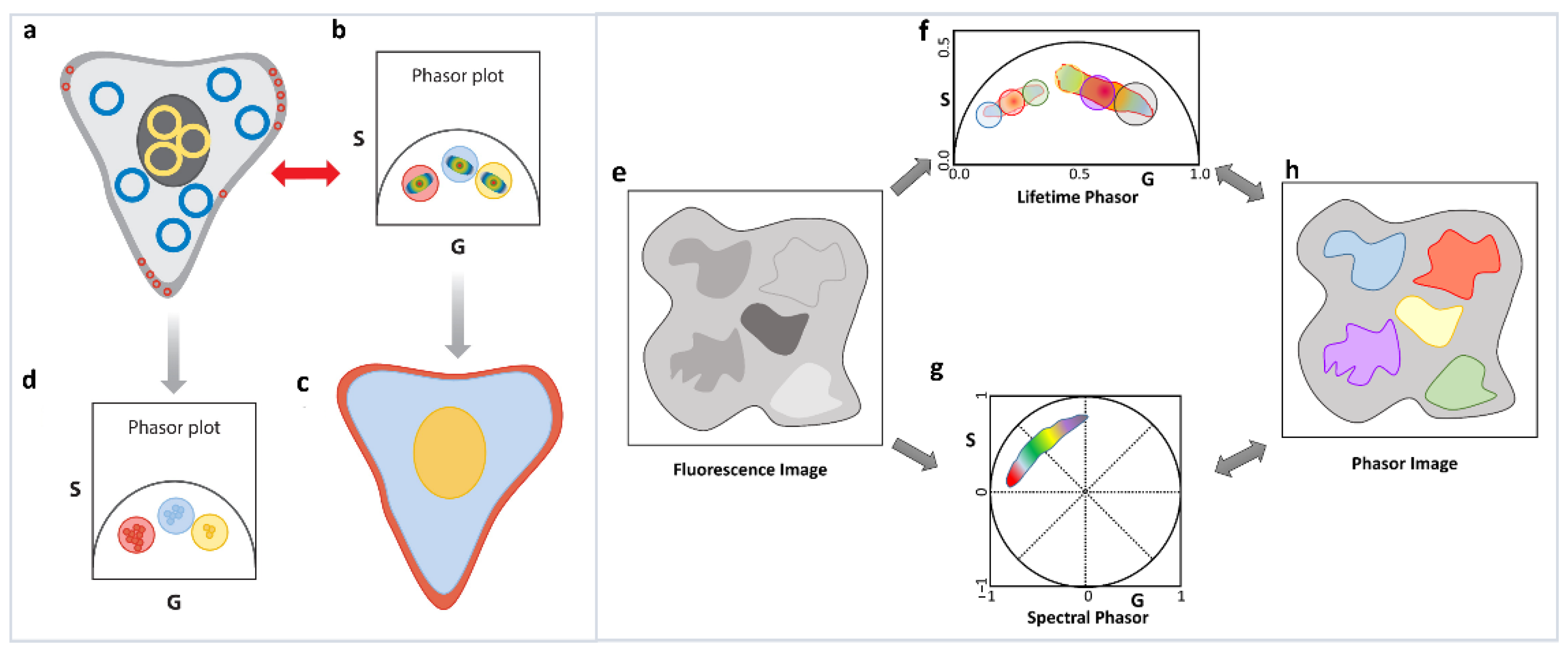 Sensors 22 00999 g006