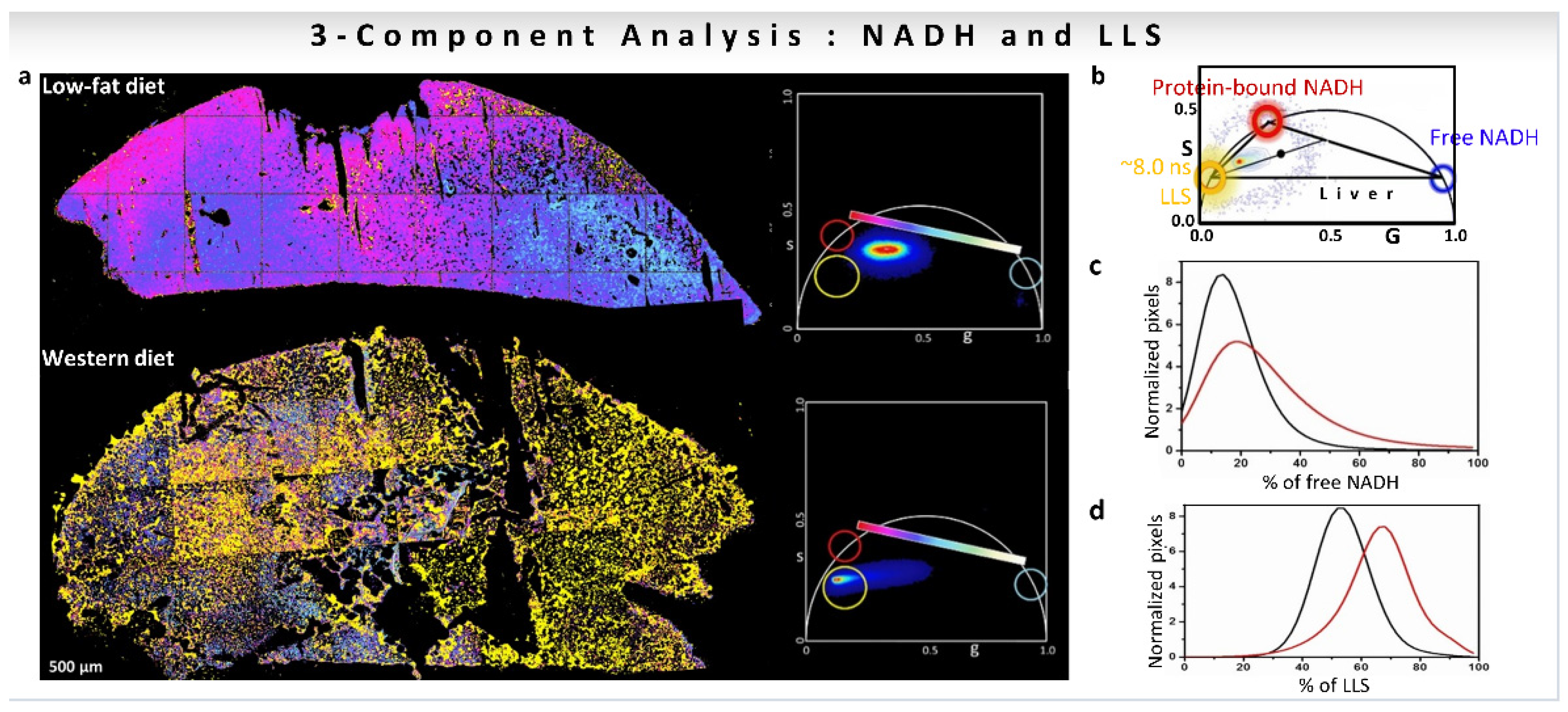 Sensors 22 00999 g008