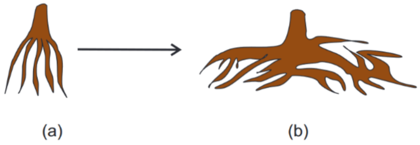 Sensors 22 01033 g021 Sensors 22 01033 g021