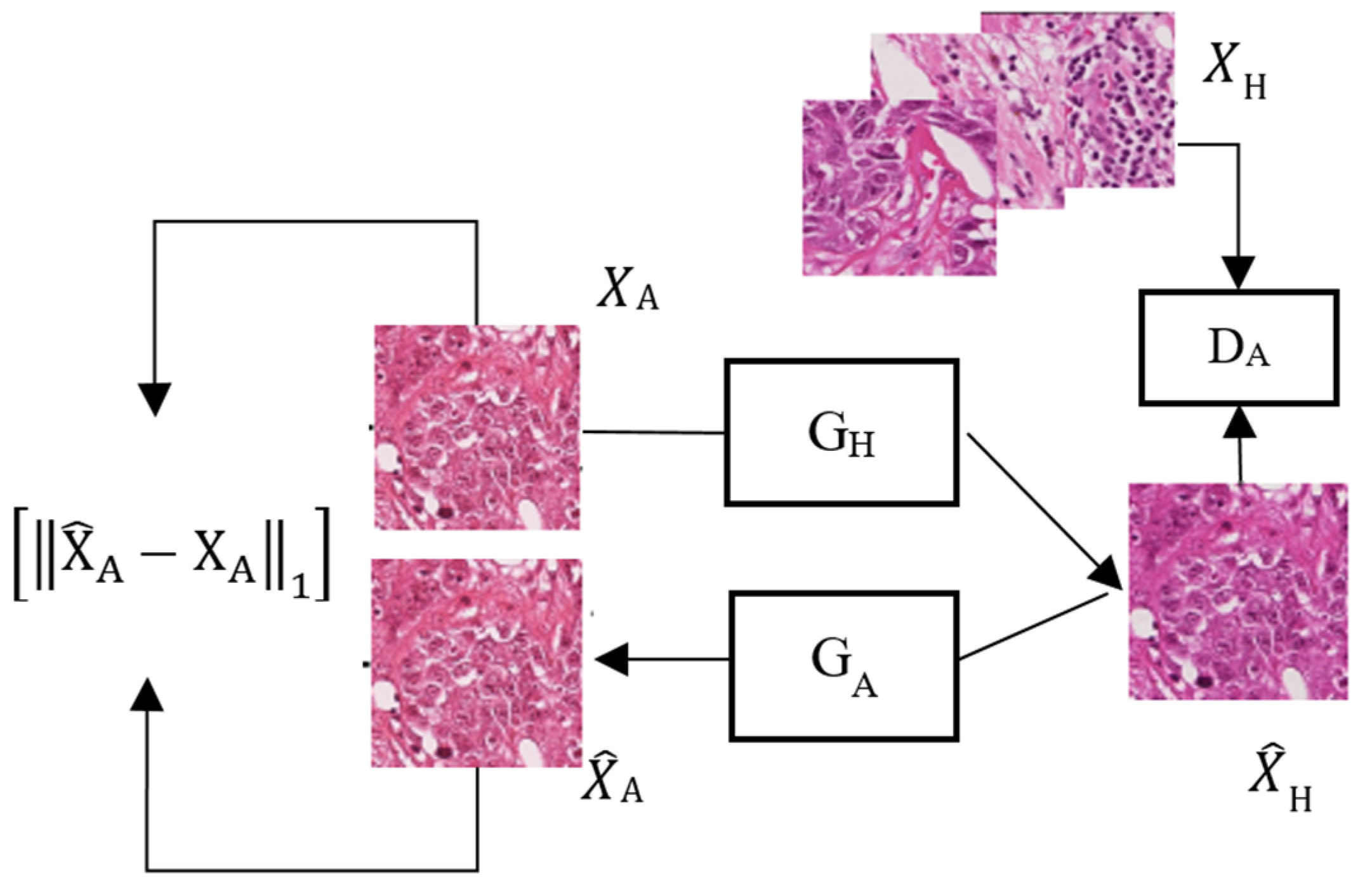 Sensors 22 01044 g002 550