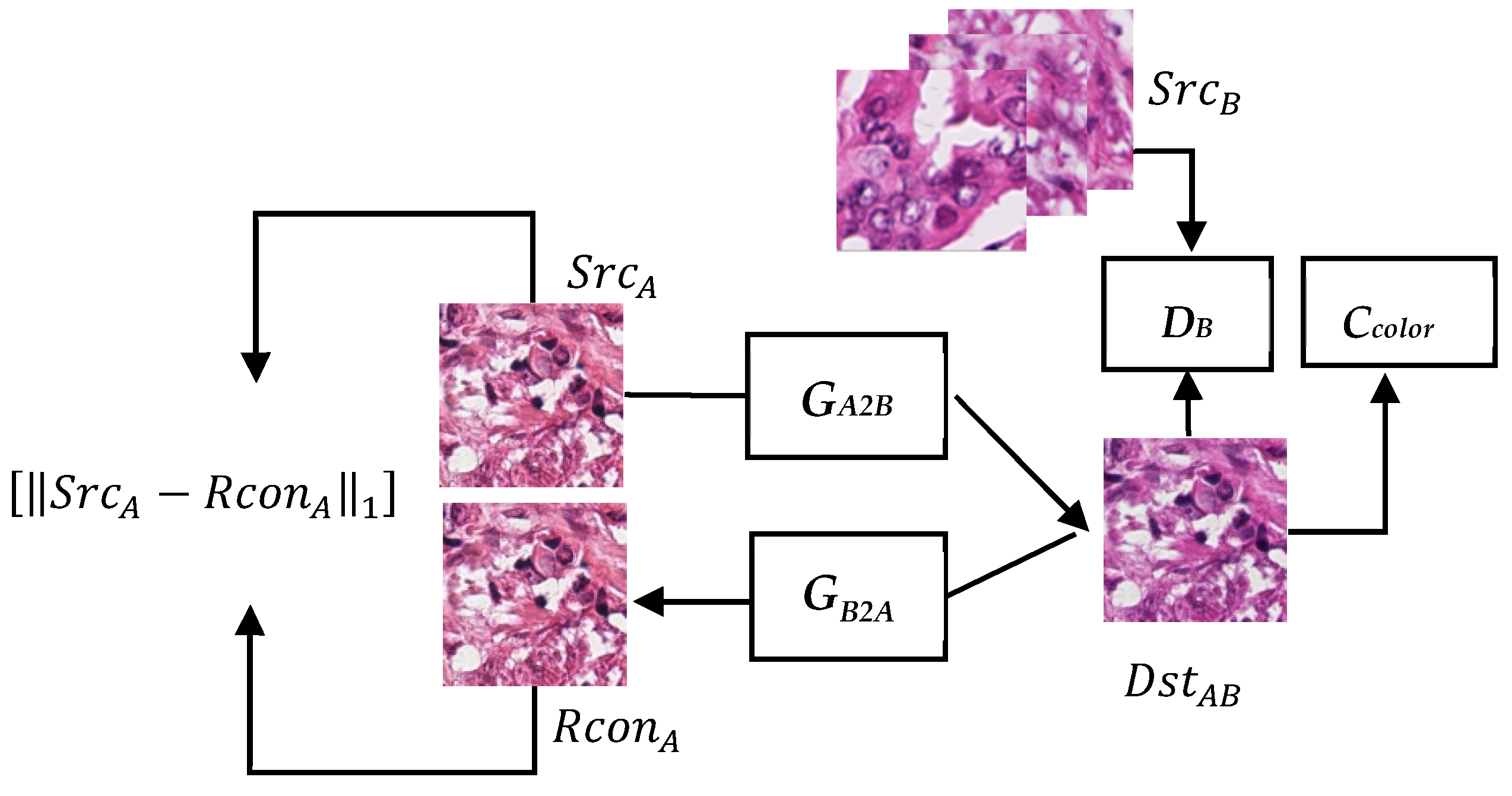 Sensors 22 01044 g003 550