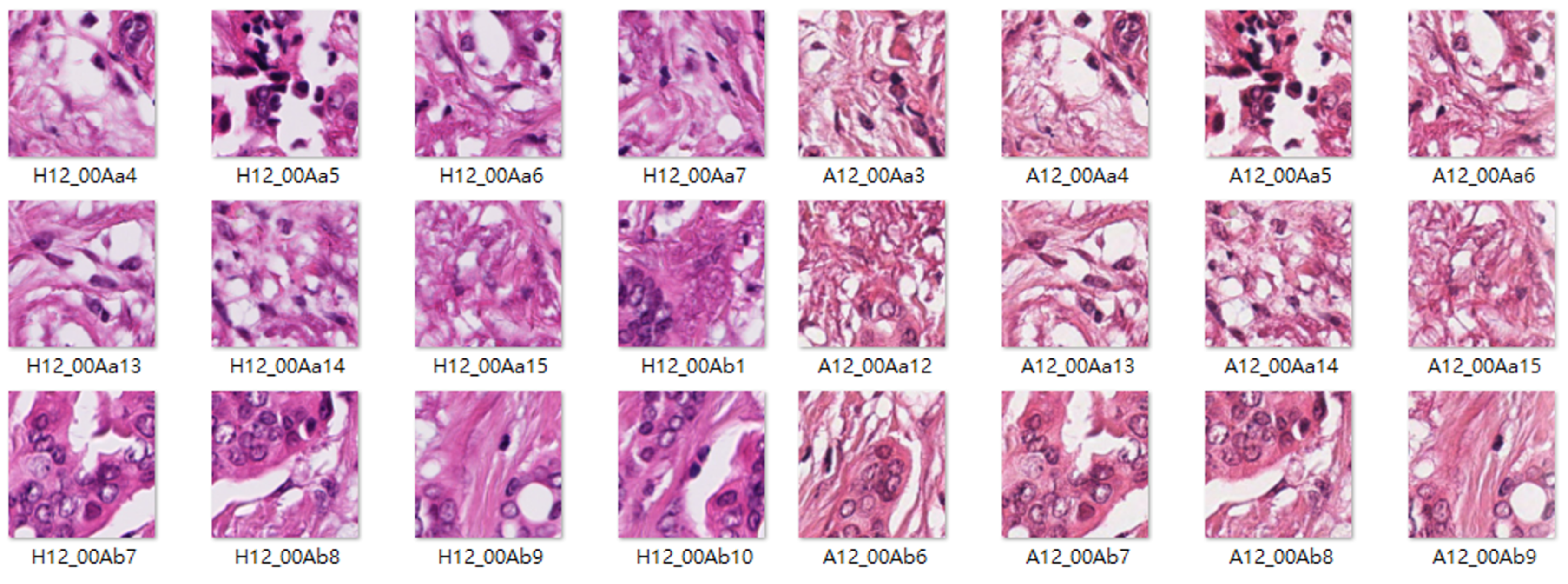 Sensors 22 01044 g009 550