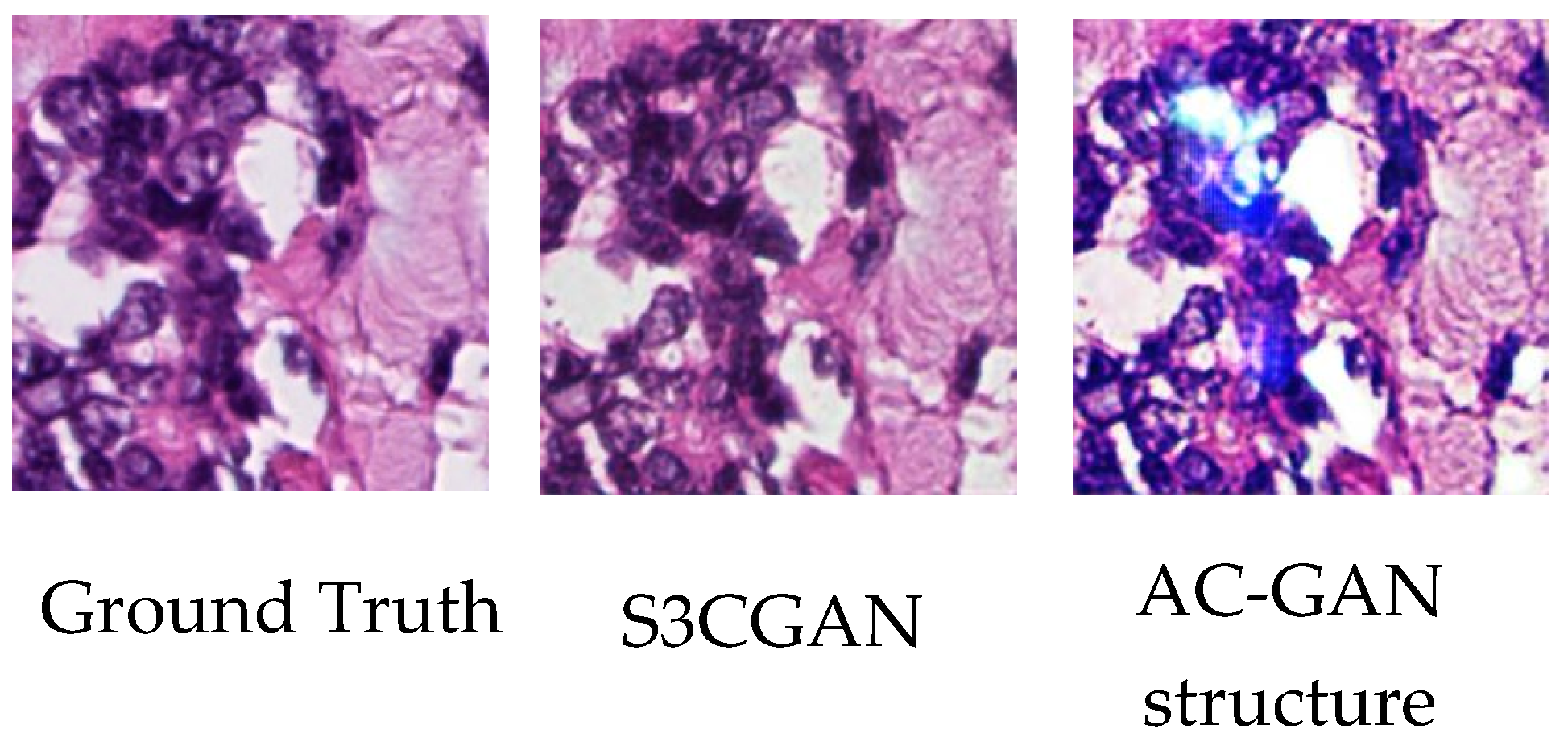 Sensors 22 01044 g011 550