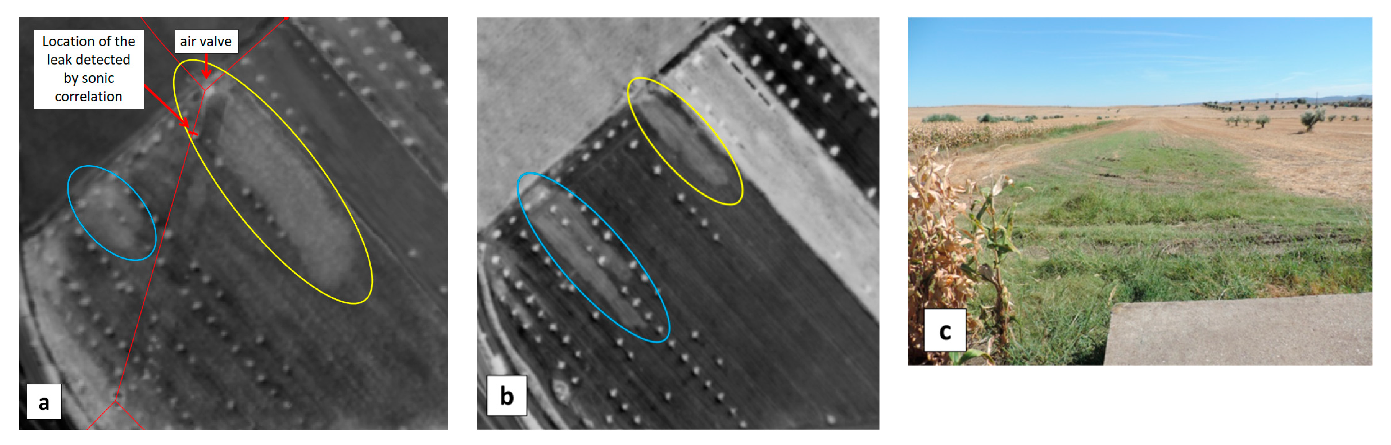 Sensors 22 01057 g017 550